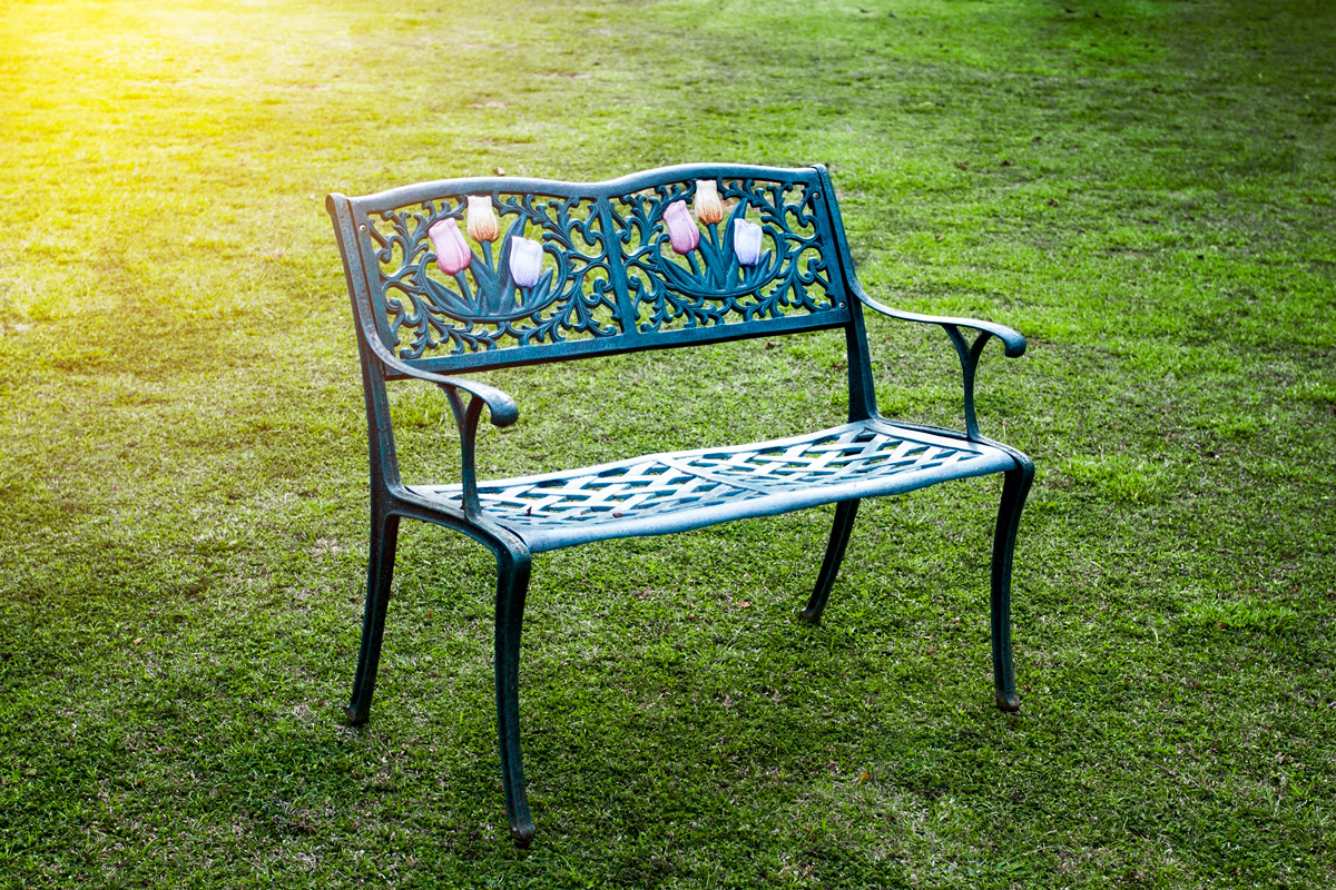 Empty bench on grass