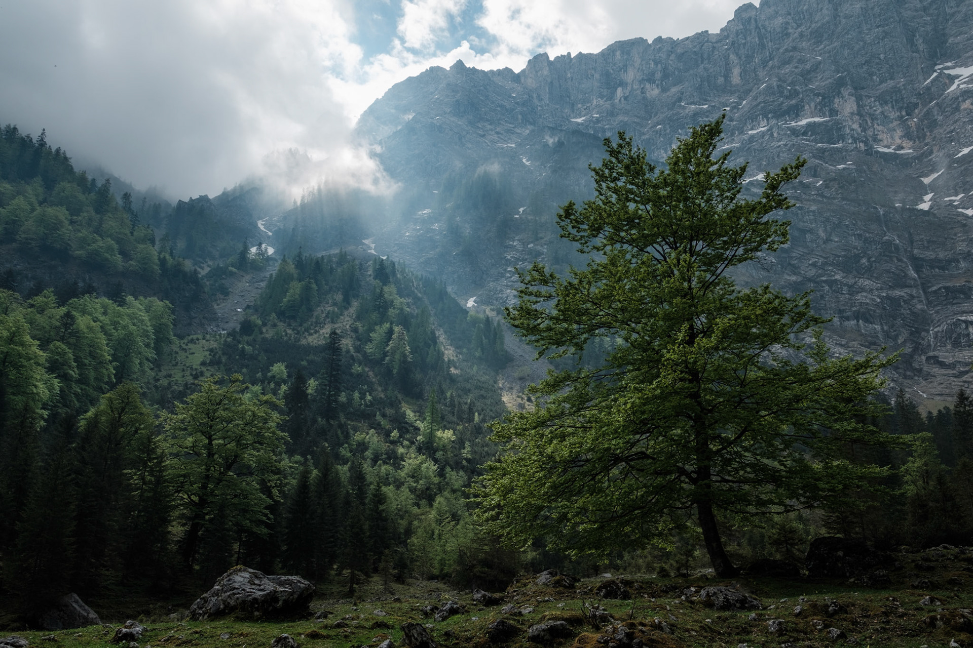 Engalm, Tyrol