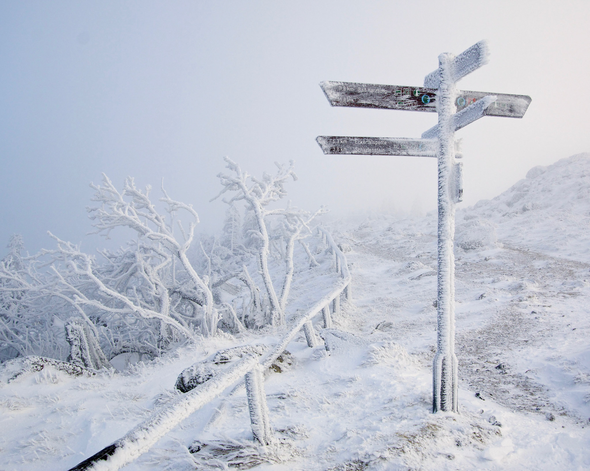 IMG_2797 - Arbeitskopie 2