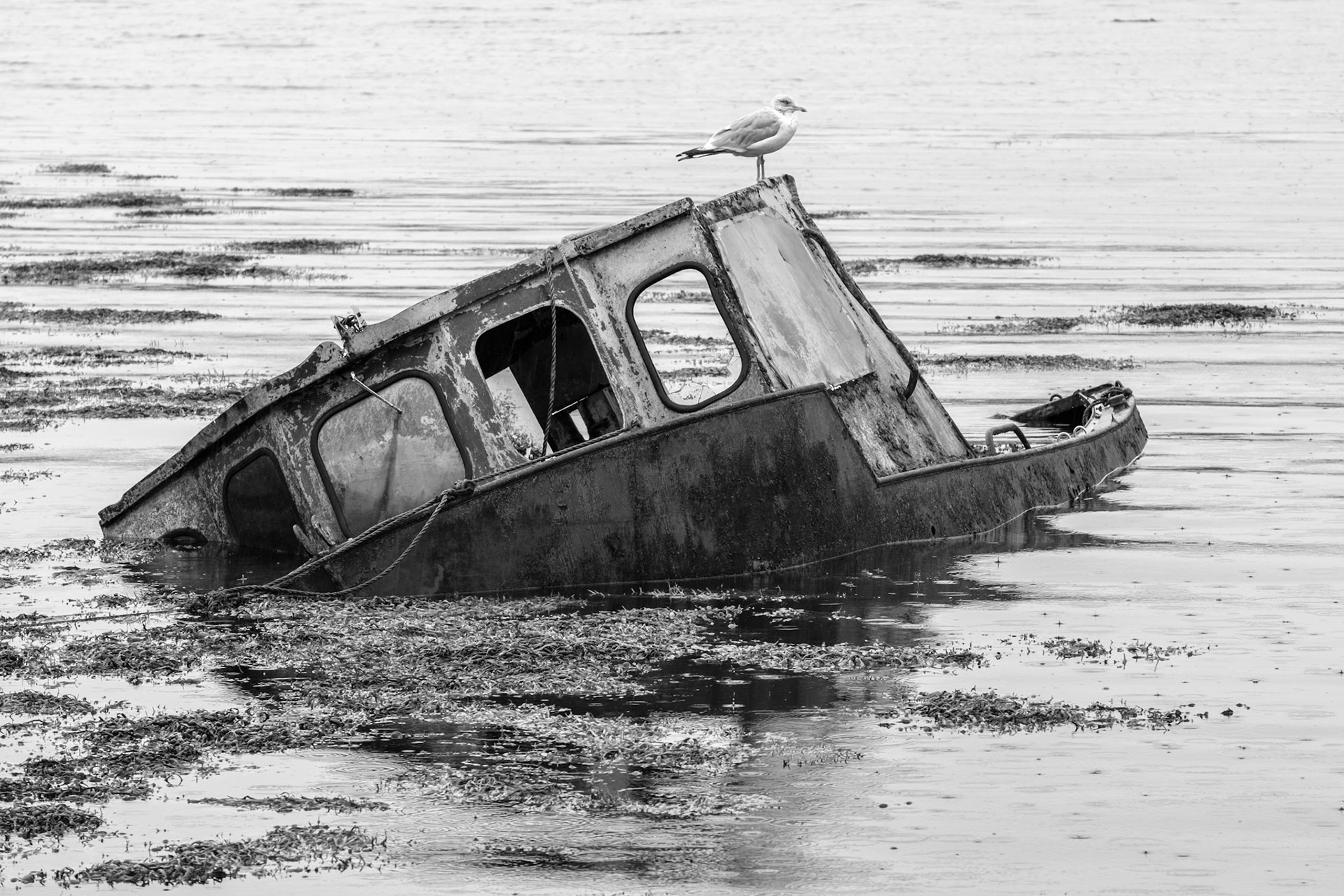 A Captain Never Leaves