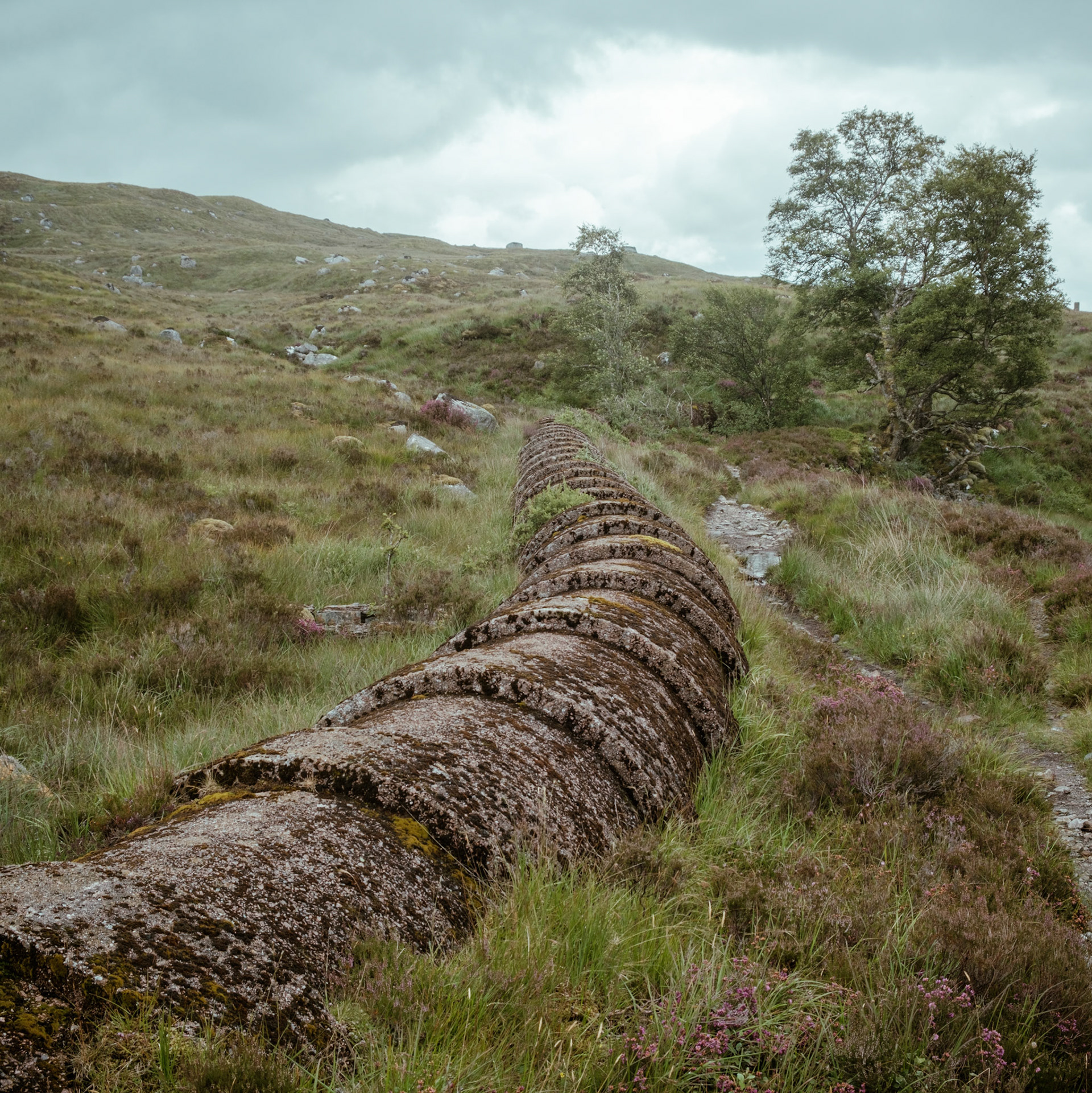 Blackwater Reservoir 2