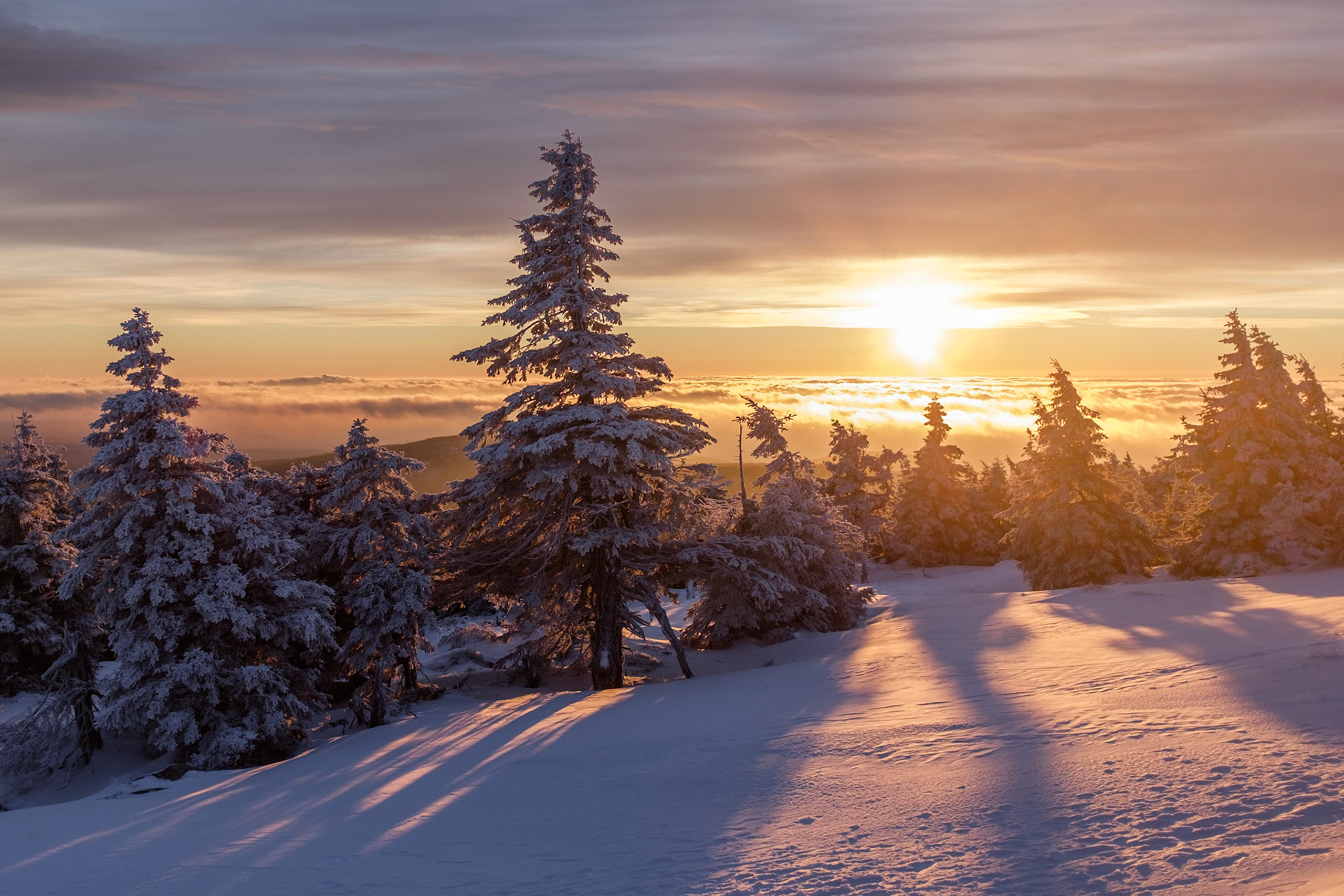 Brocken, Harz