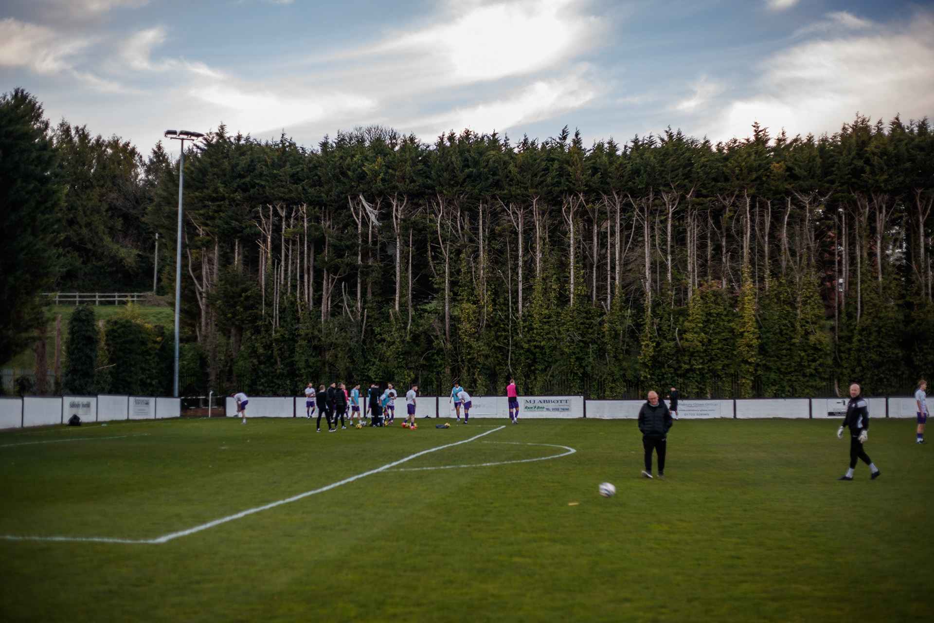 Trees around the pitch