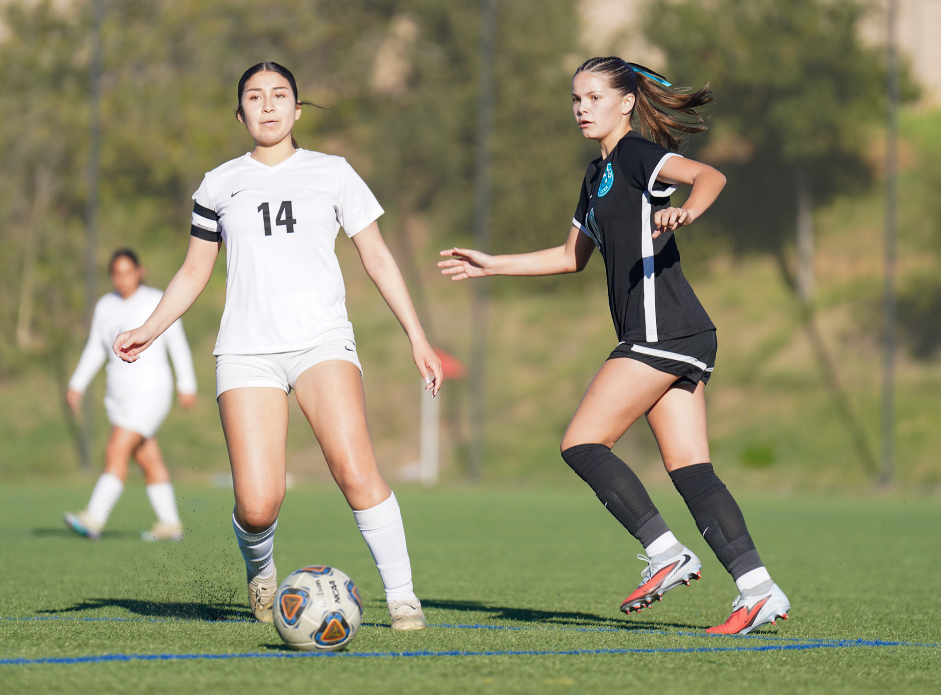 Mar Vista at Del, Lago