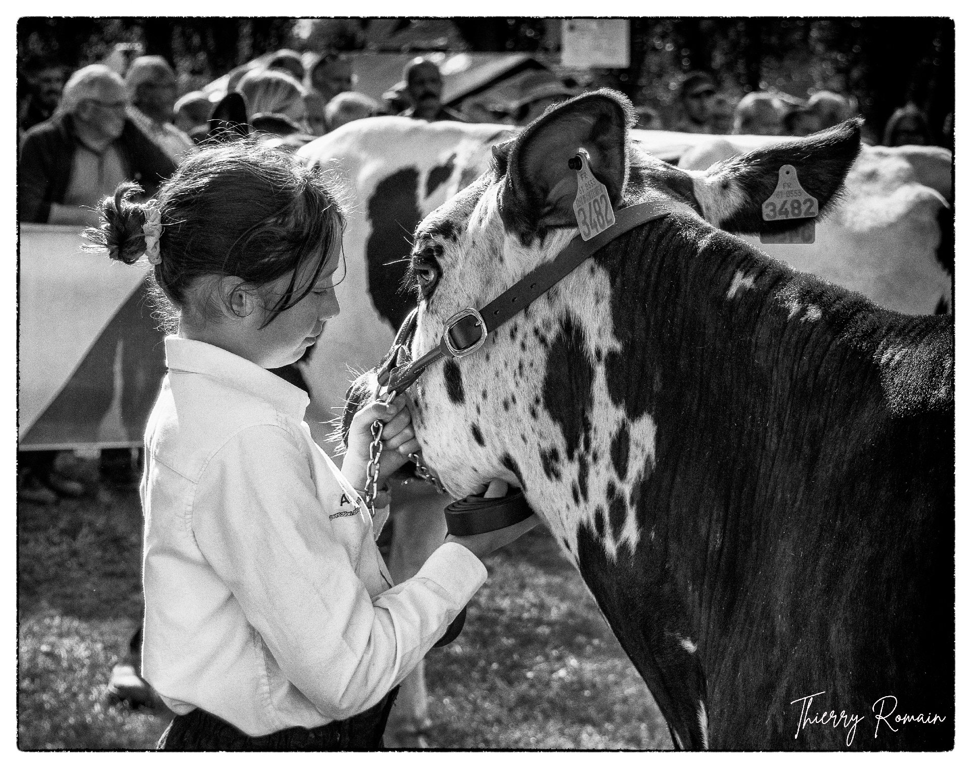 concours de jeune présentateur (Le mêle sur sarthe 61)