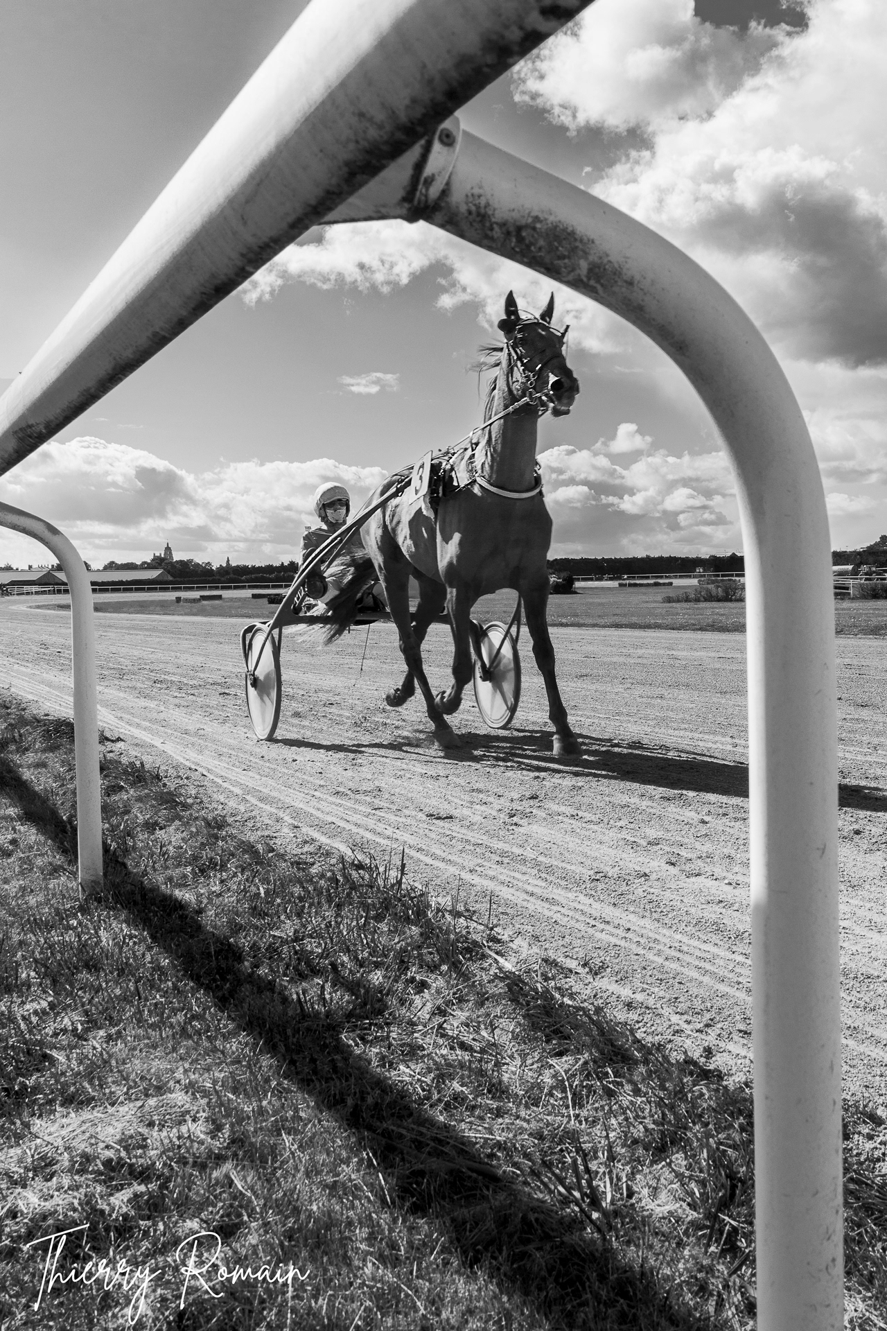Argentan - Trot attelé
