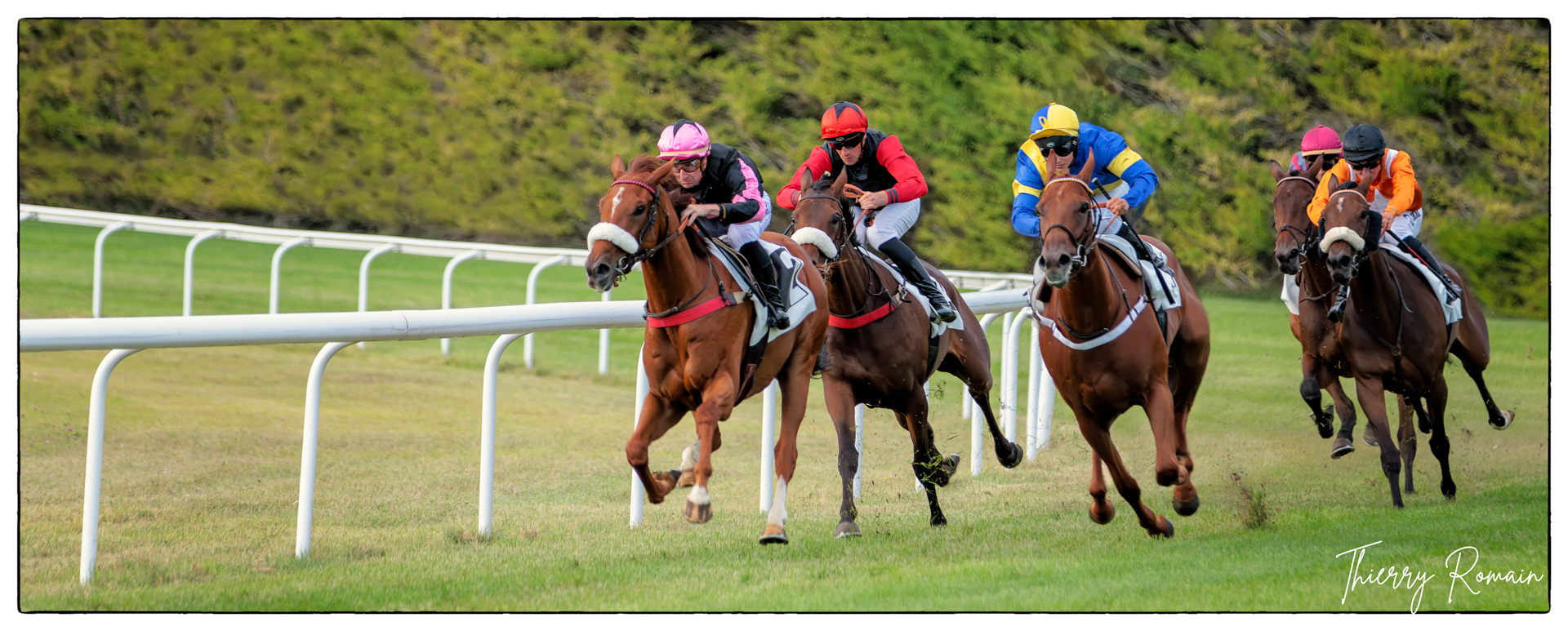 Argentan - Galop (plat)