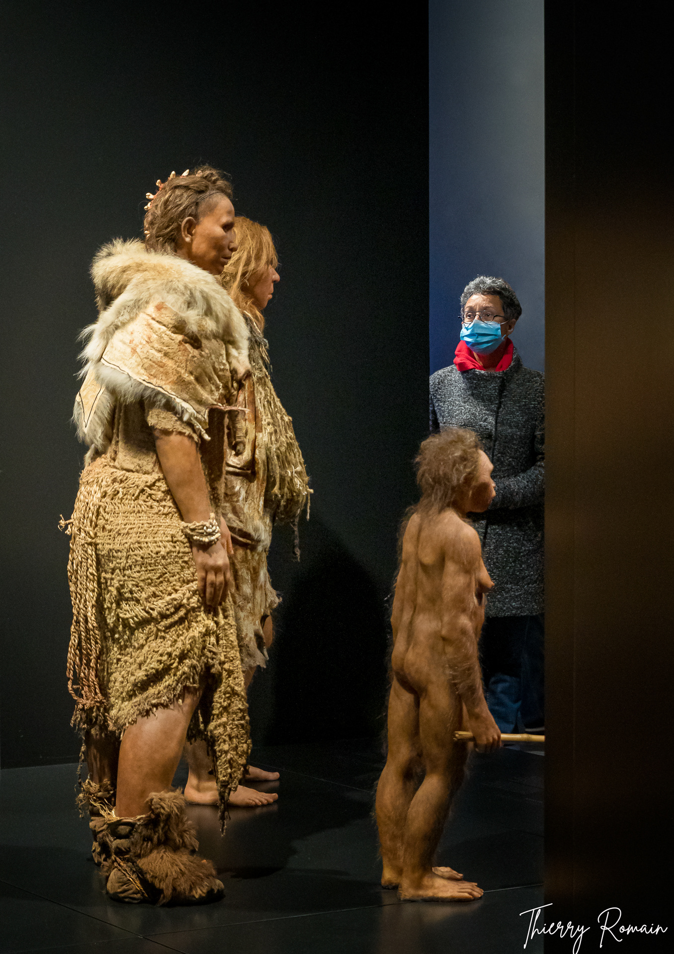 Évolution ? (Lyon musée des confluences)