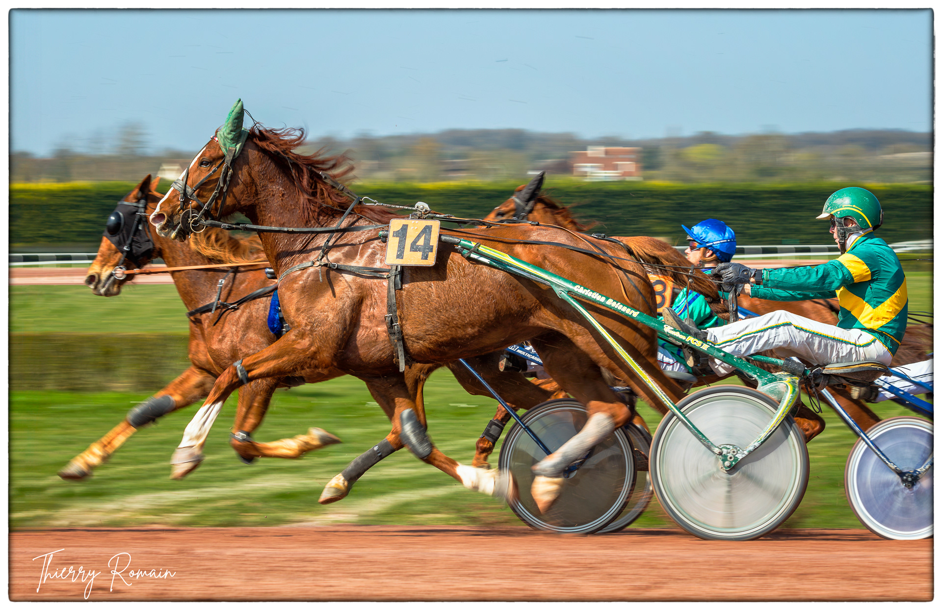 Argentan - Trot attelé