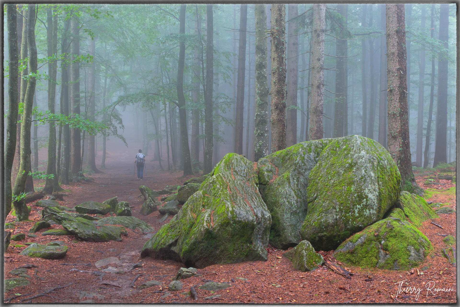 forêt de bohème (Bavière)