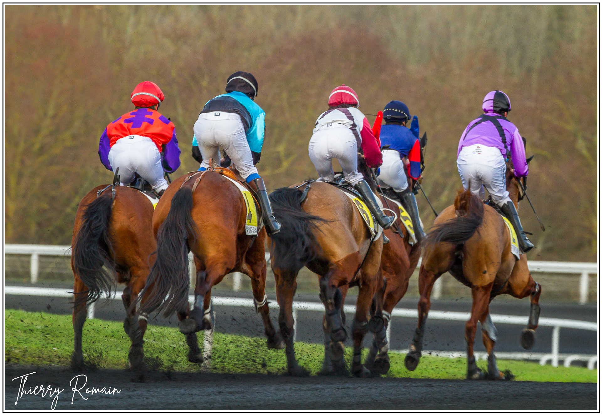Vincennes - Trot monté