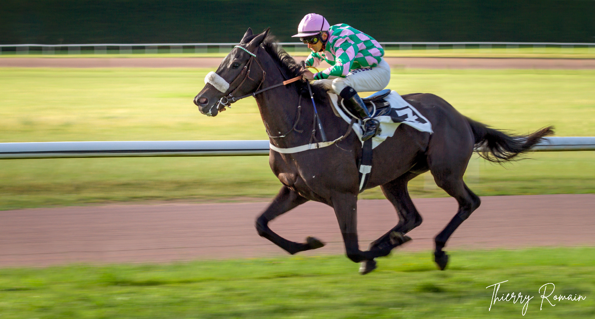 Argentan - Galop (plat)