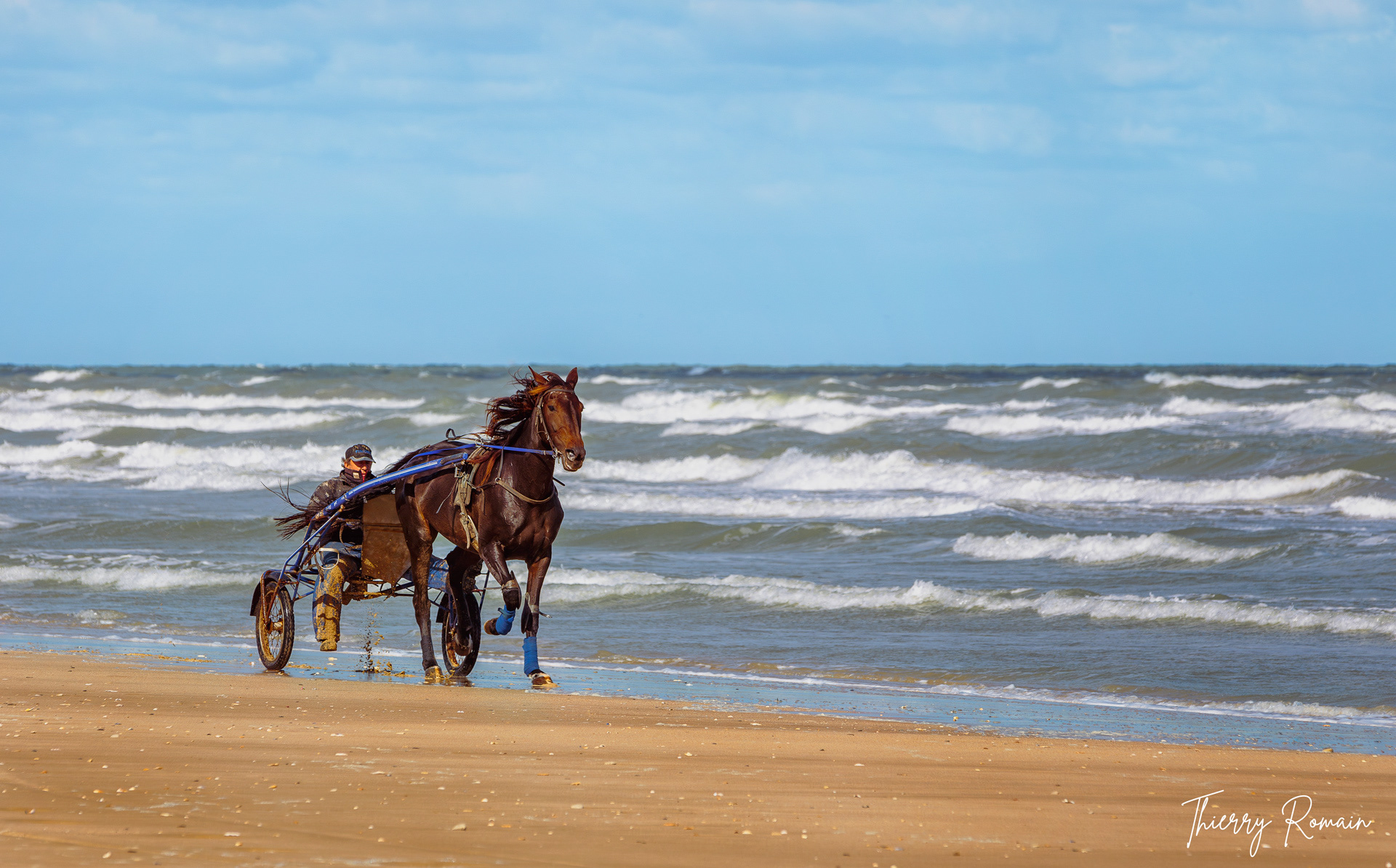 Trotting sur la plage d'Utah Beach
