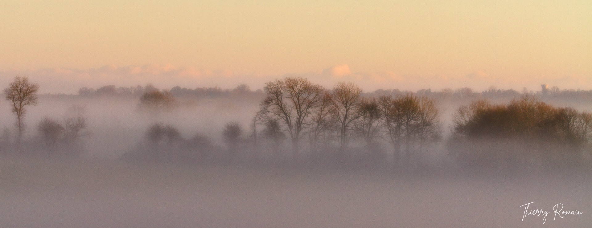 Boitron sous la brume