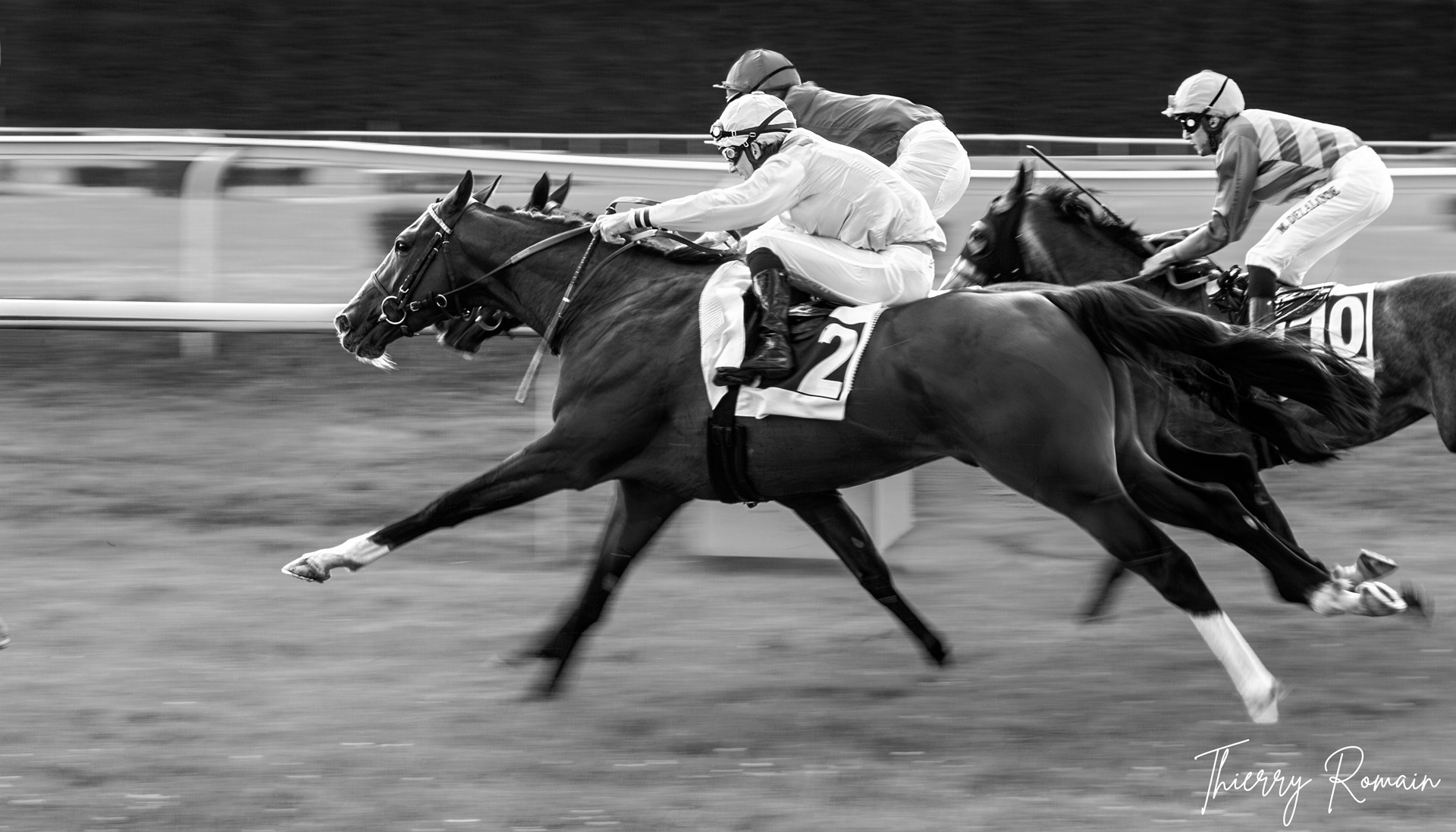 Argentan - Galop (plat)