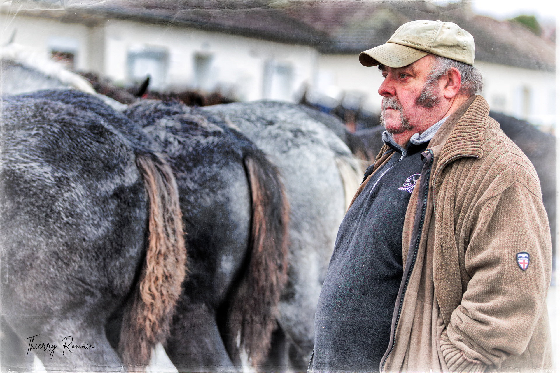 Acheteur de Percherons (Le Mêle sur Sarthe 61)