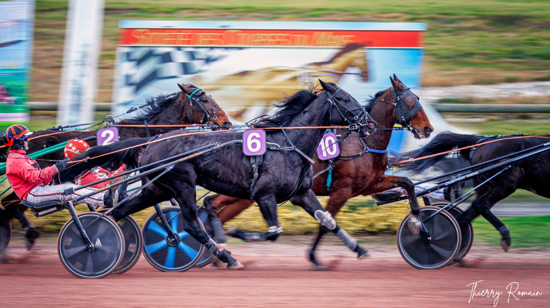 Le Mans - Trot attelé