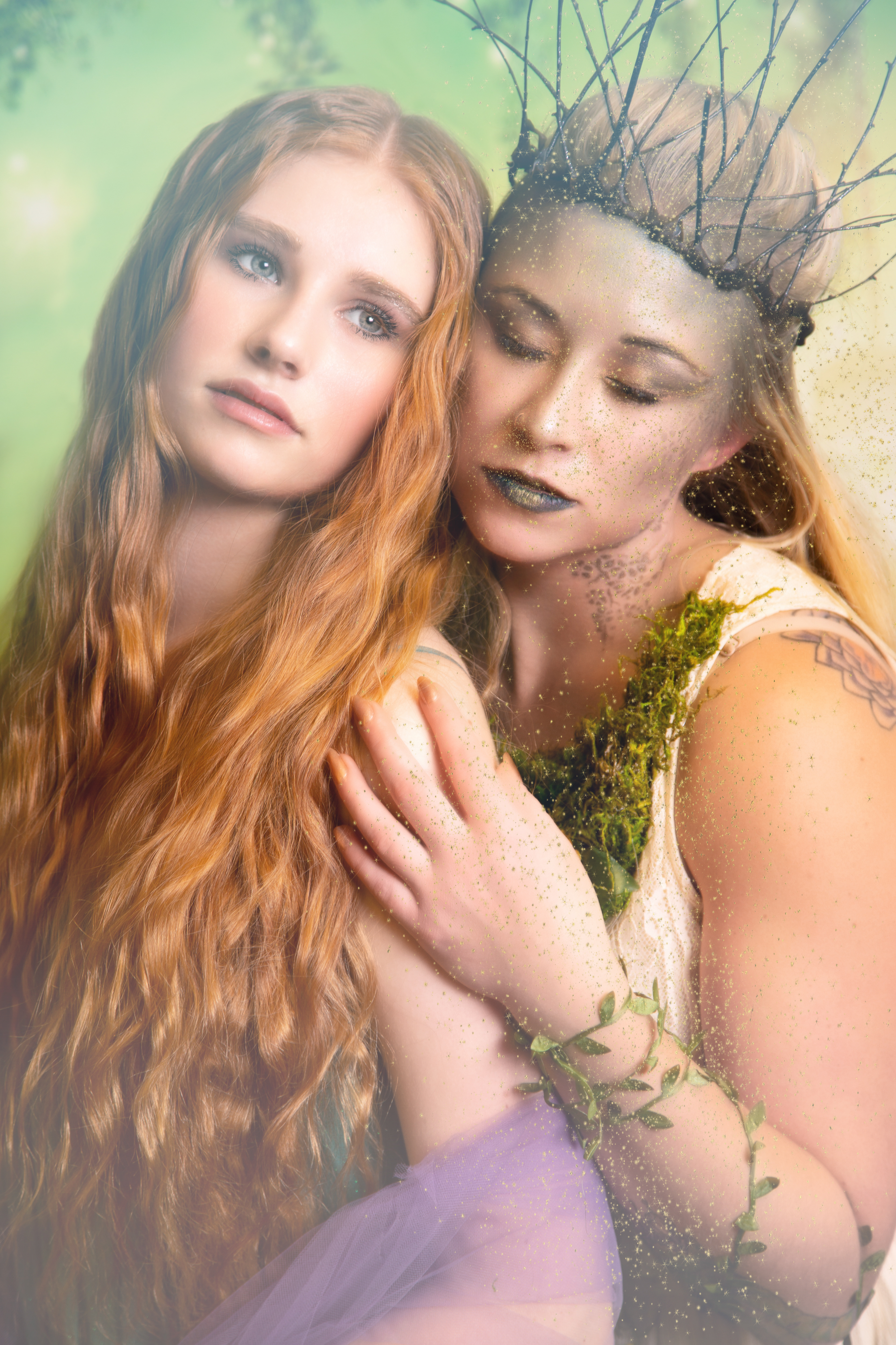 Fairy Friends