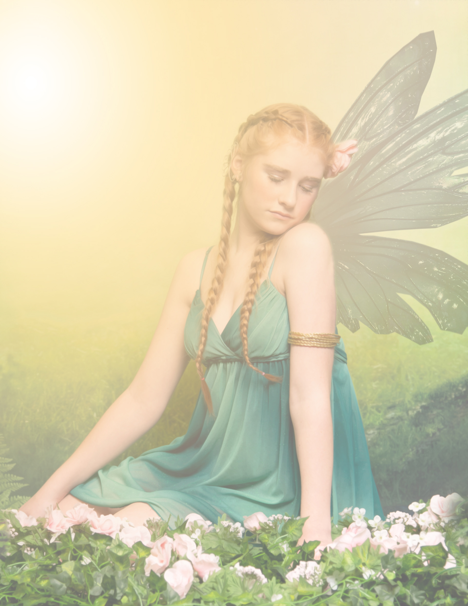 Elfie in the Sunshine