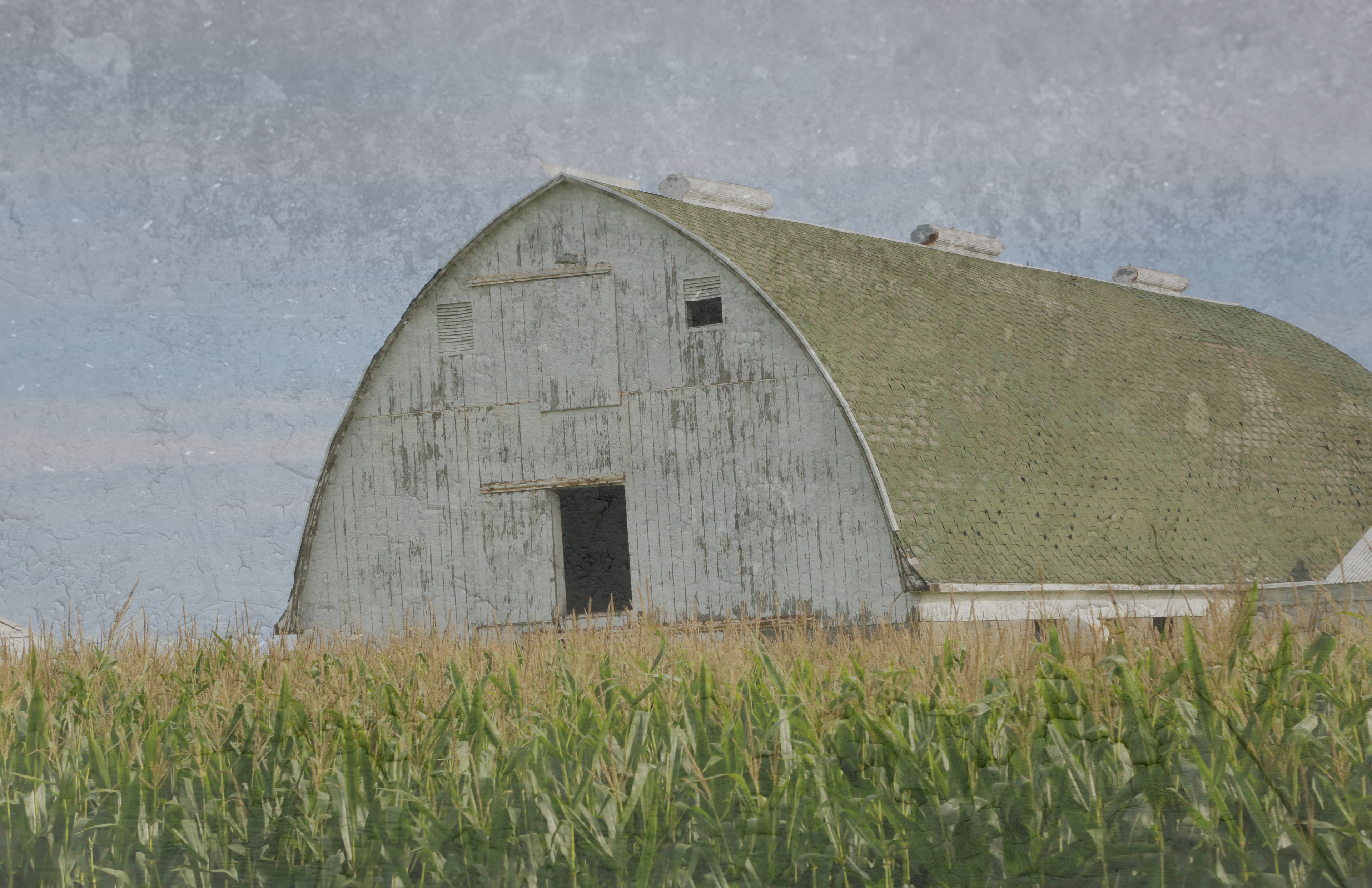 Barn in a Cornfield