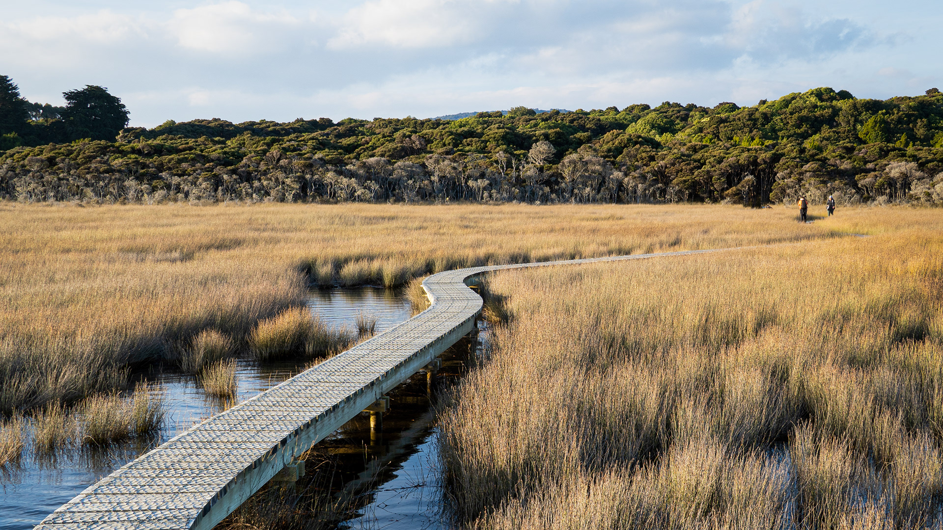 Catlins, New Zealand