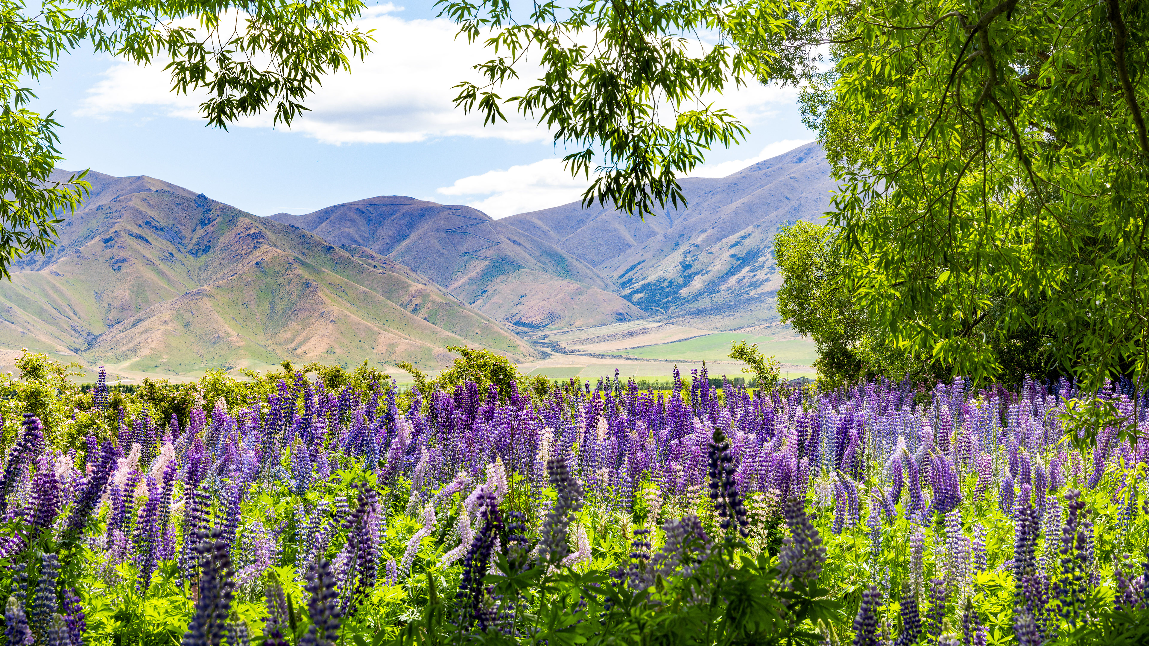 Omarama, New Zealand