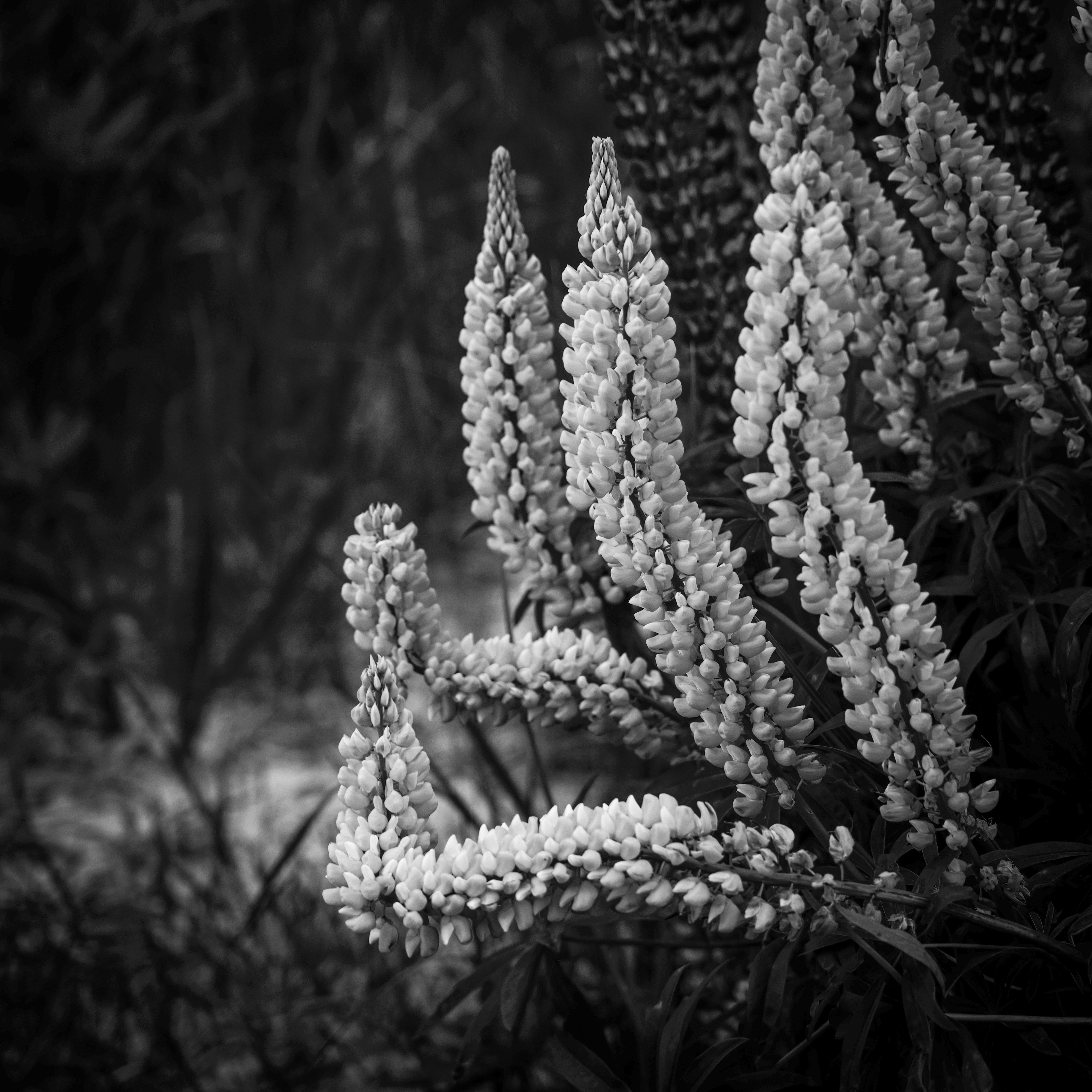 Omarama, New Zealand