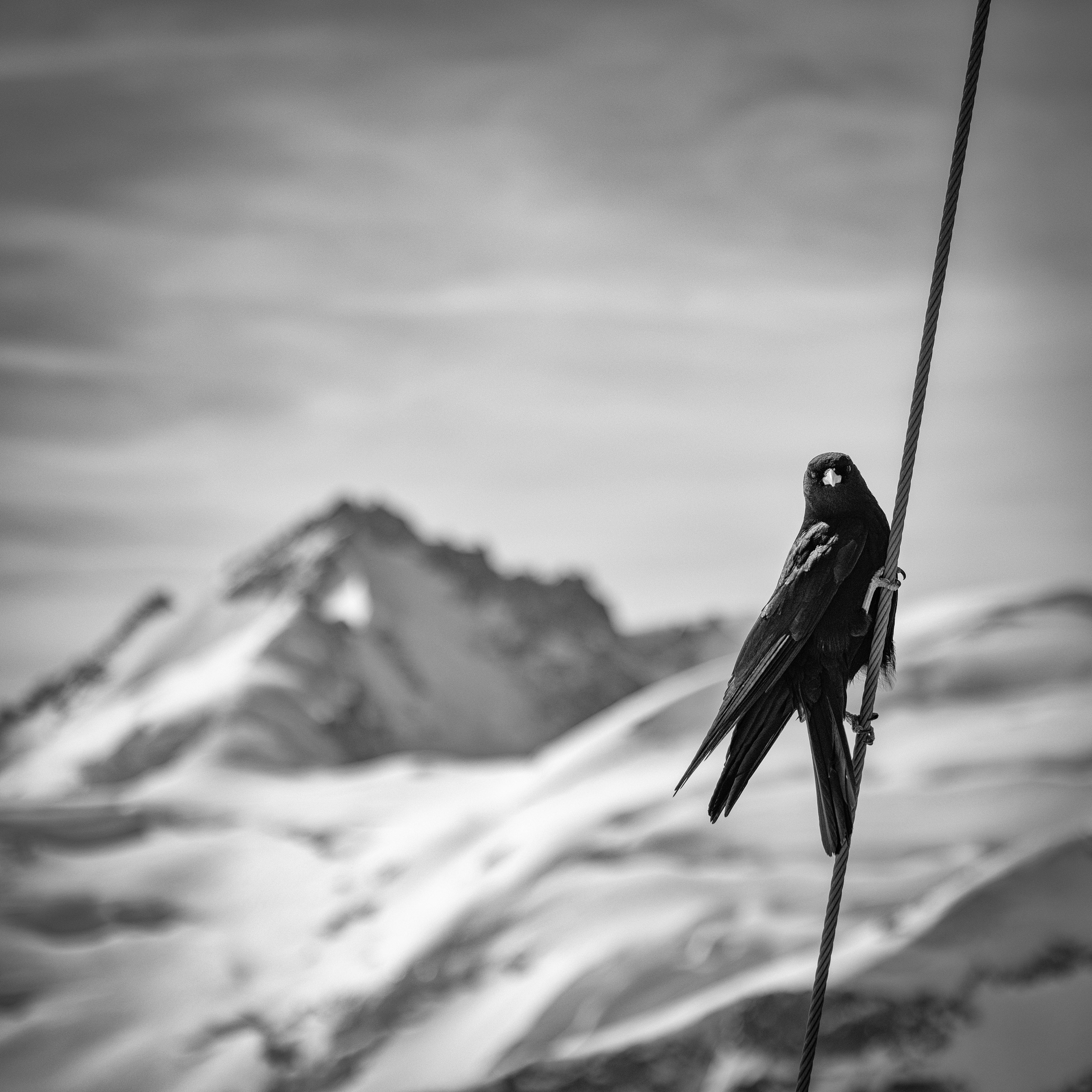 Jungfrau, Switzerland