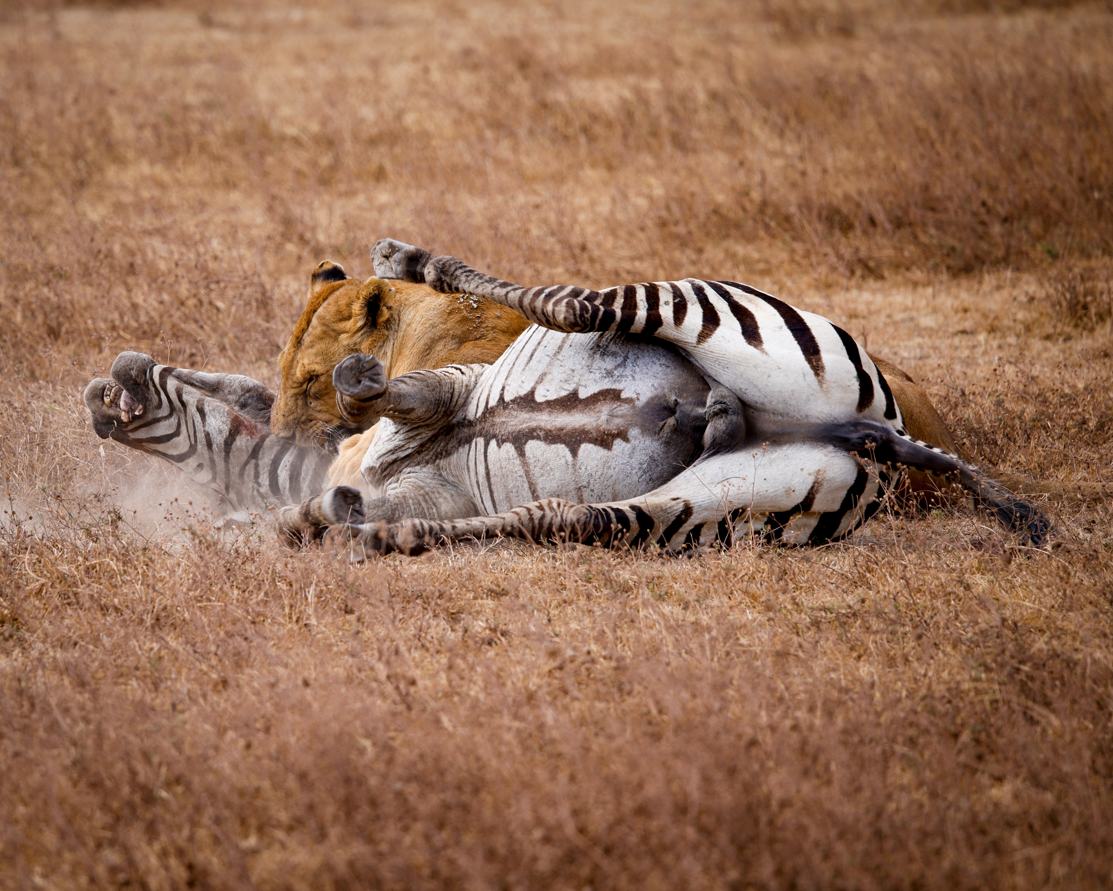 Ngorongoro Crater, Tanzania