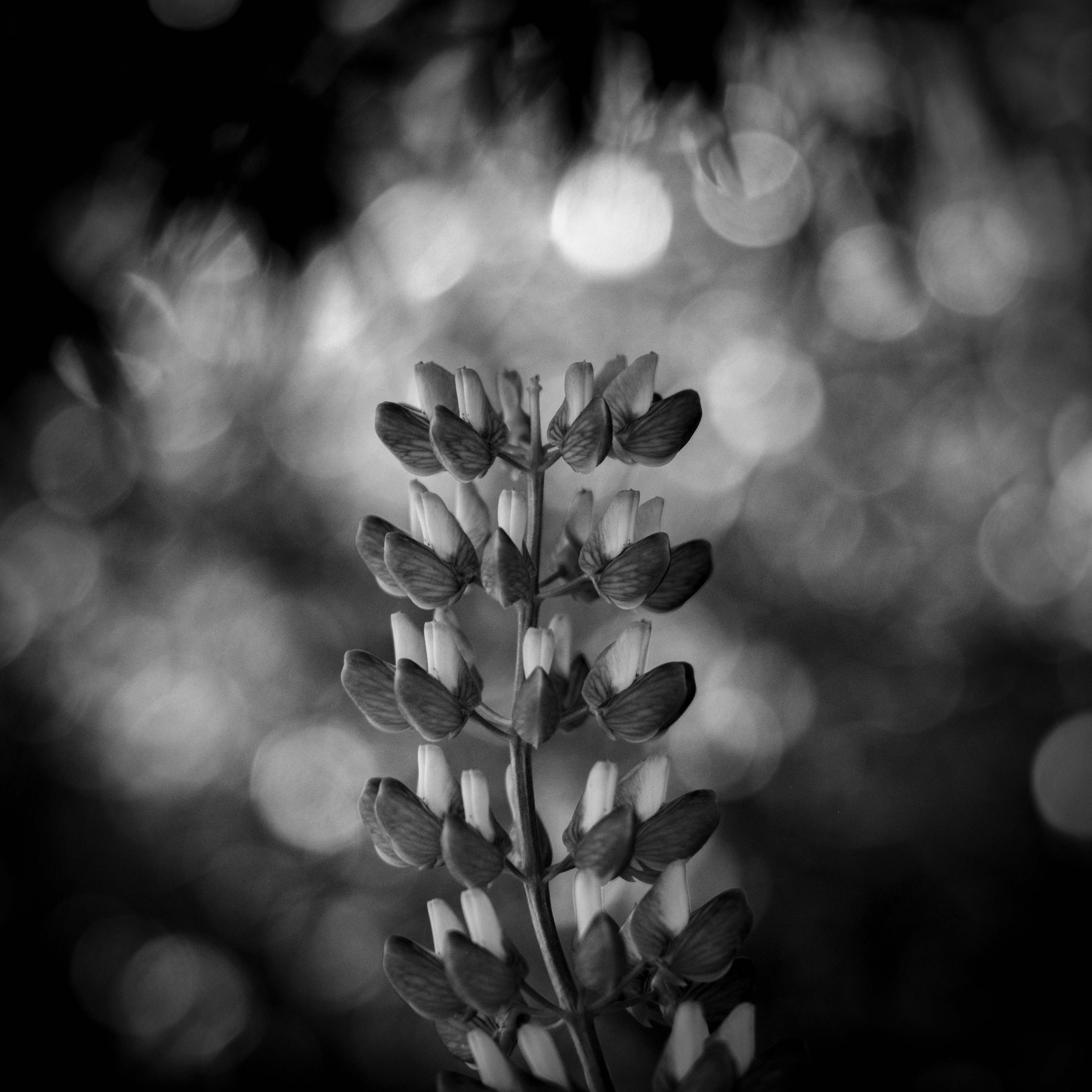 Omarama, New Zealand