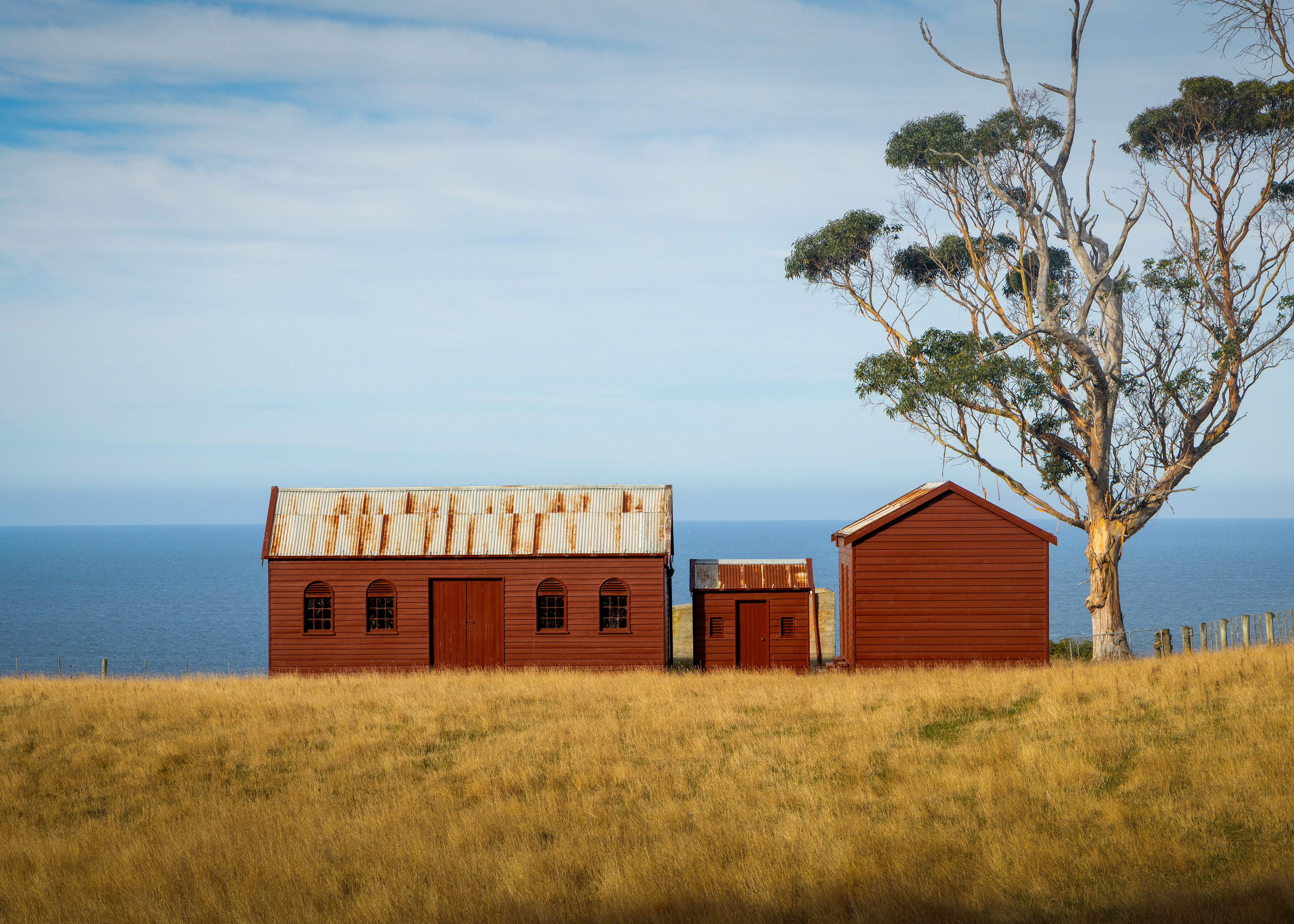 Central Otago, New Zealand