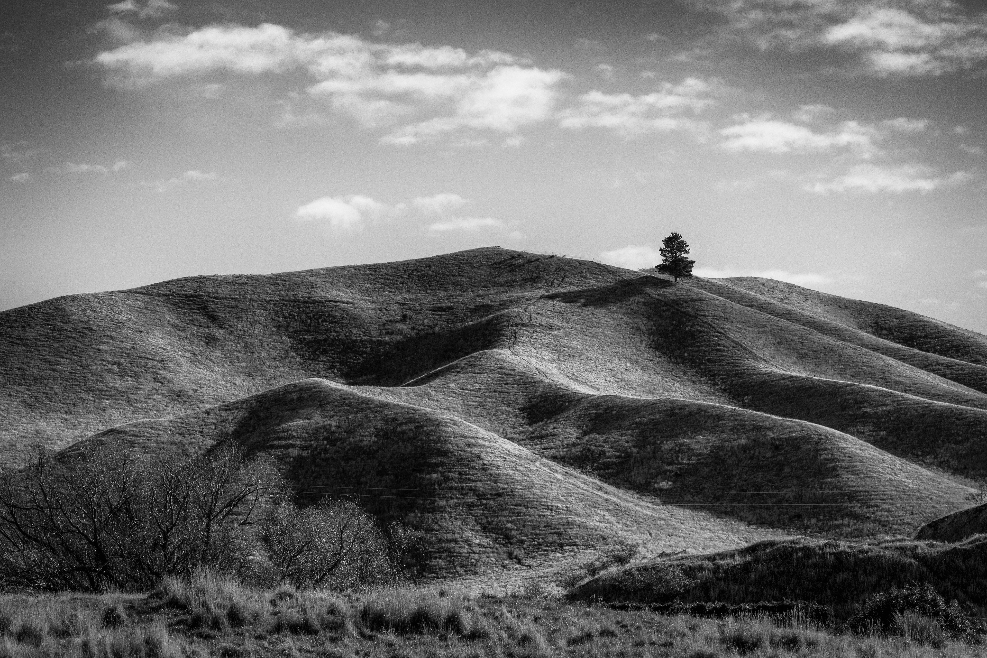 Central Otago, New Zealand