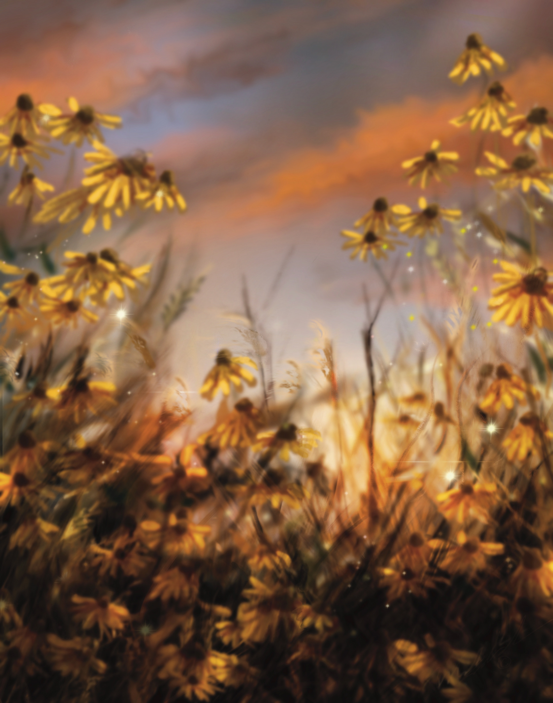 Black Eyed Susans