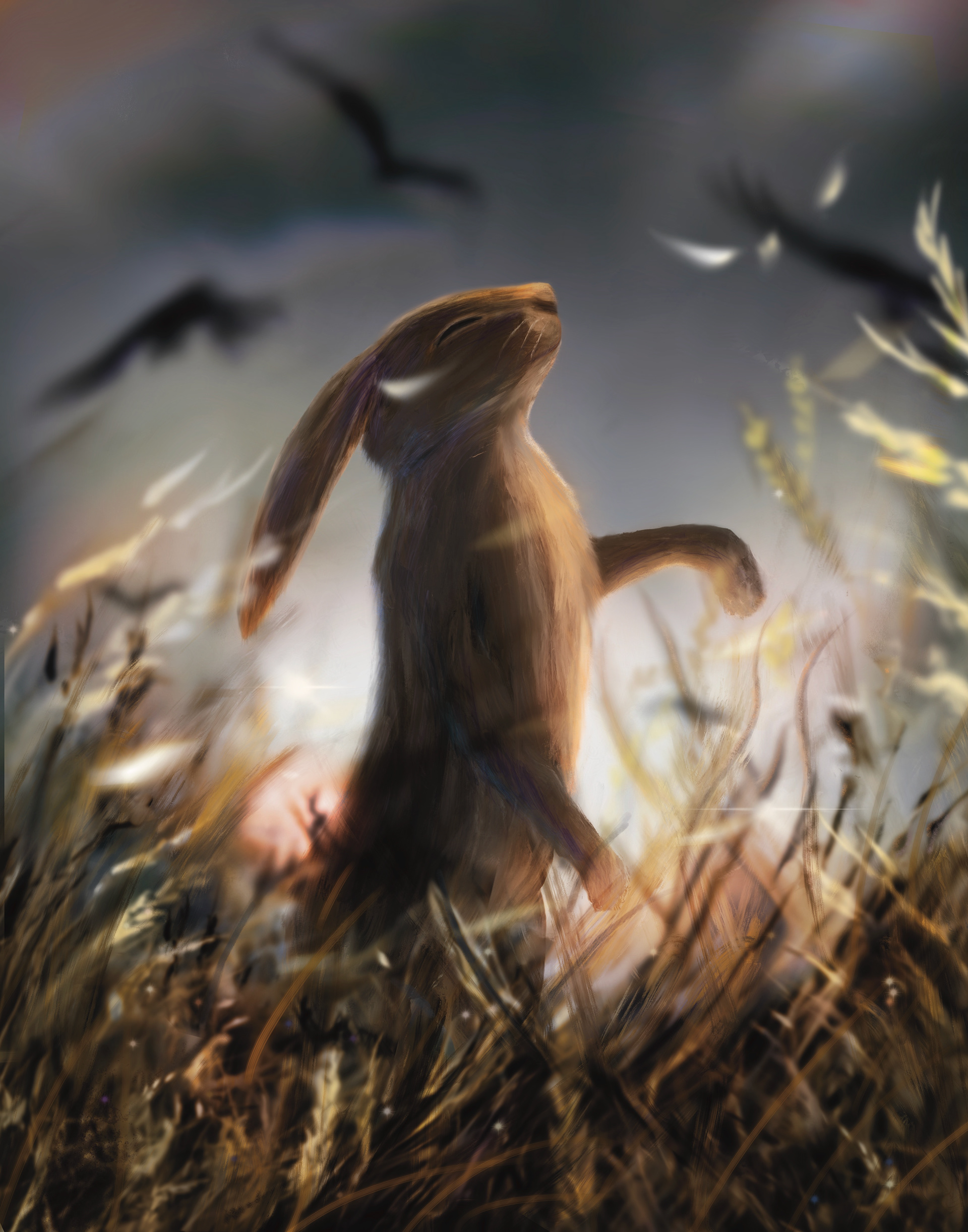 Rabbit in a Field