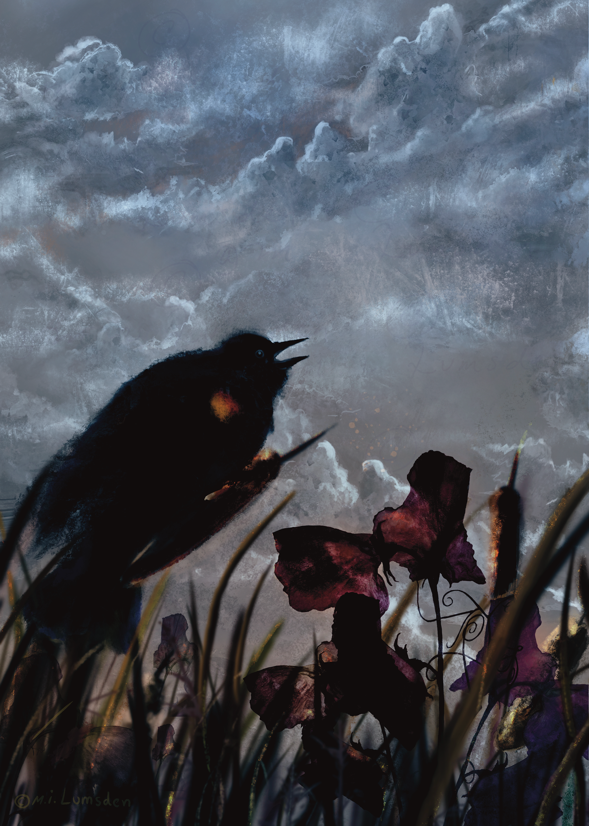 Black Bird