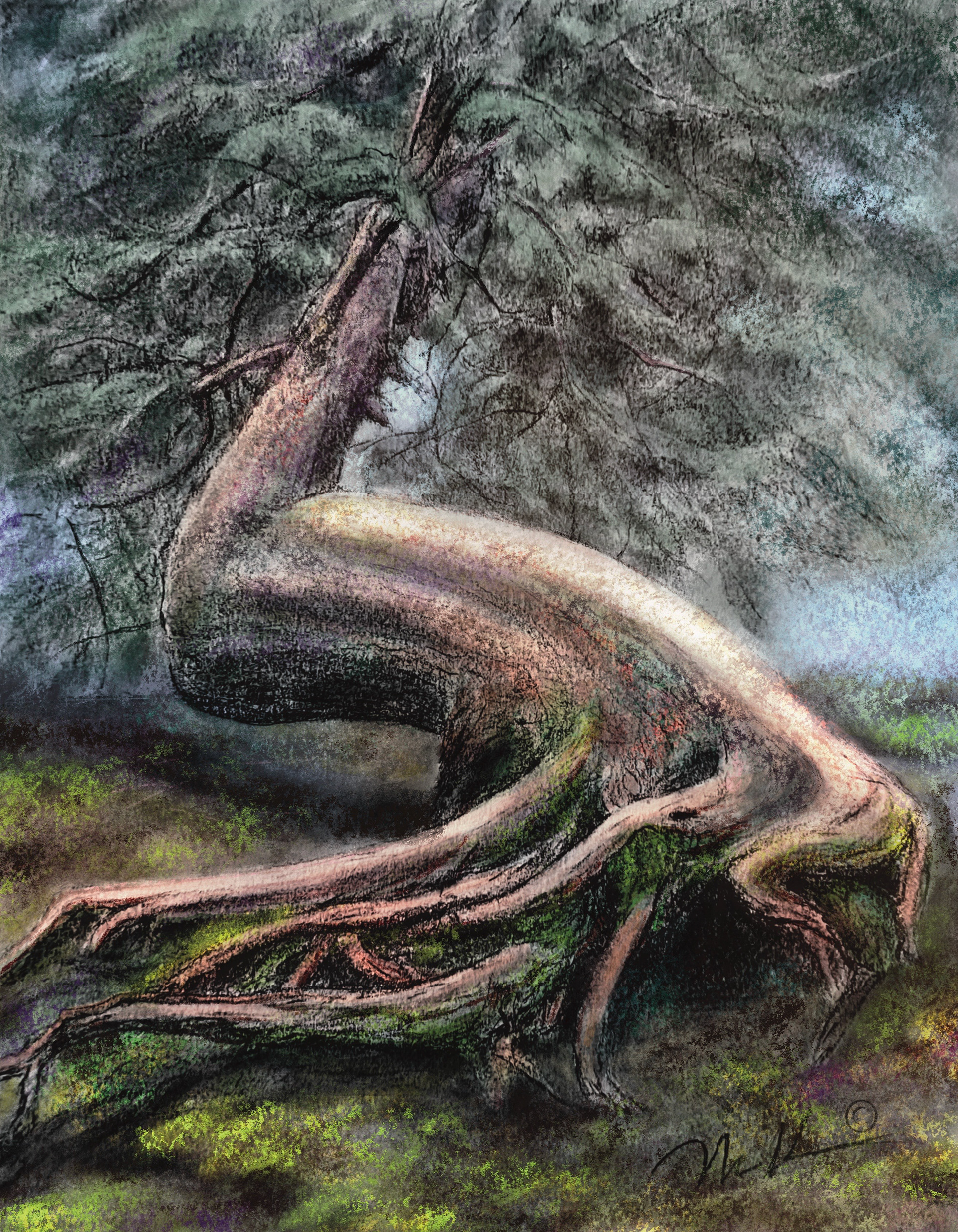 Tree