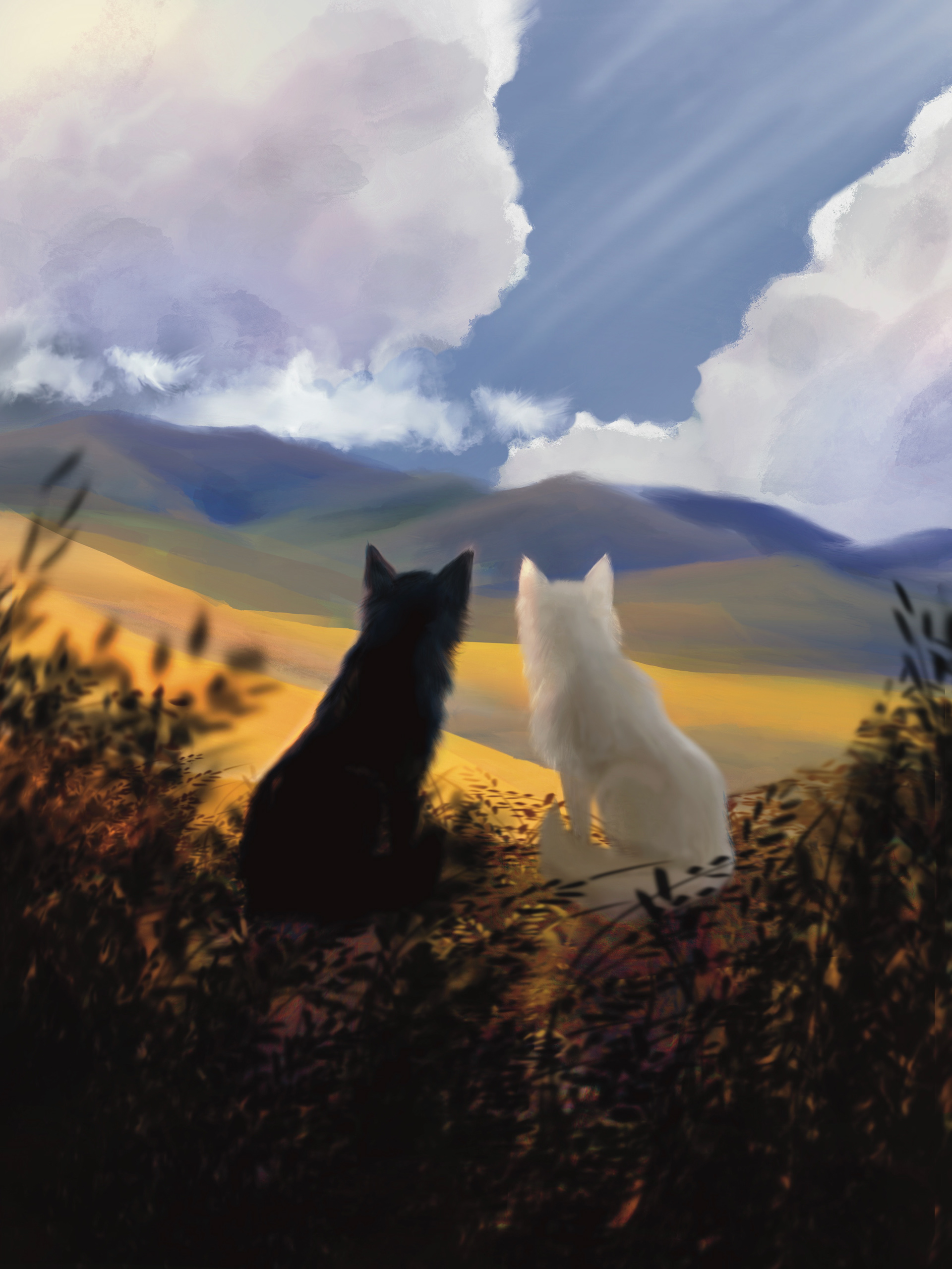Foxes