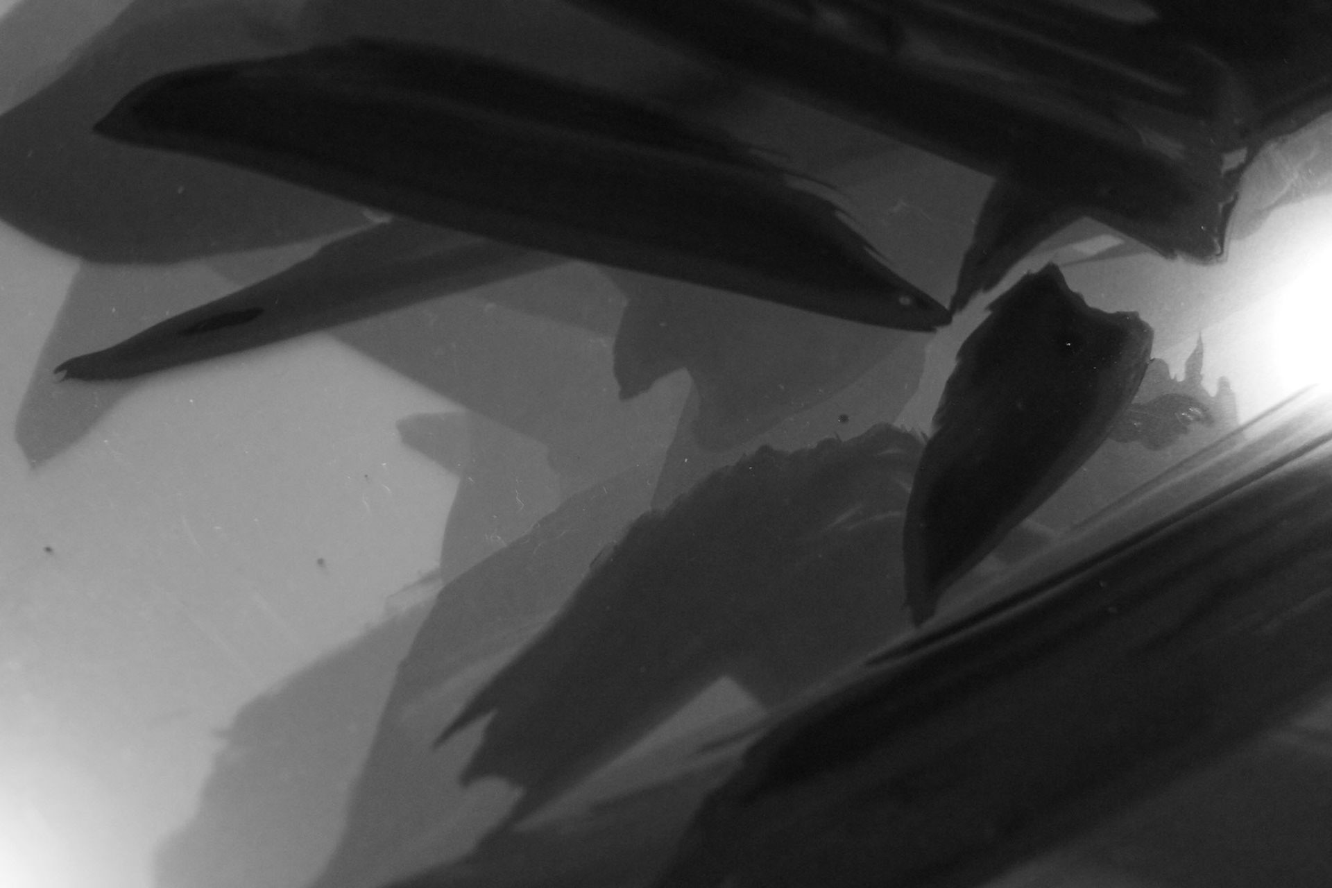 Closeup of "Unavoidable phantoms"