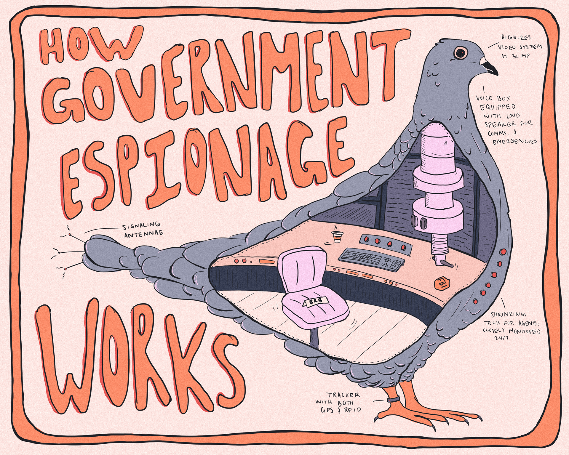 The Birds Work for the Bourgeoisie