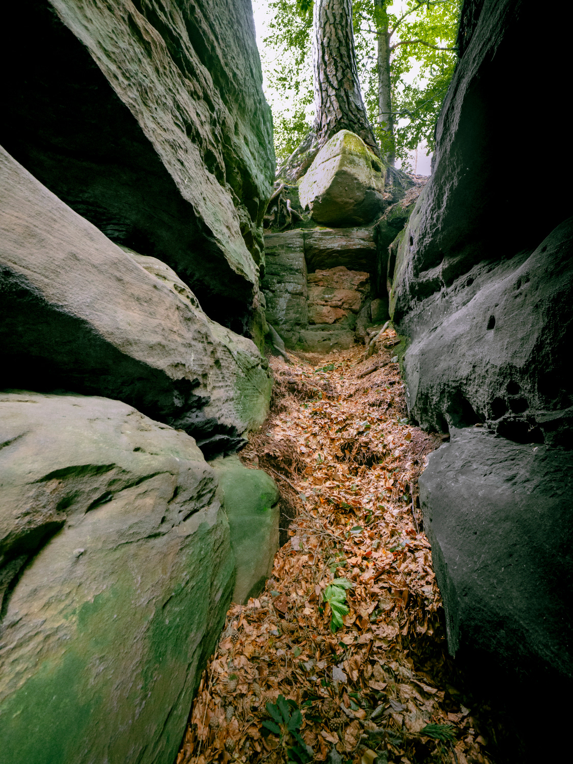 Felseinschnitt an den Hohlen Felsen