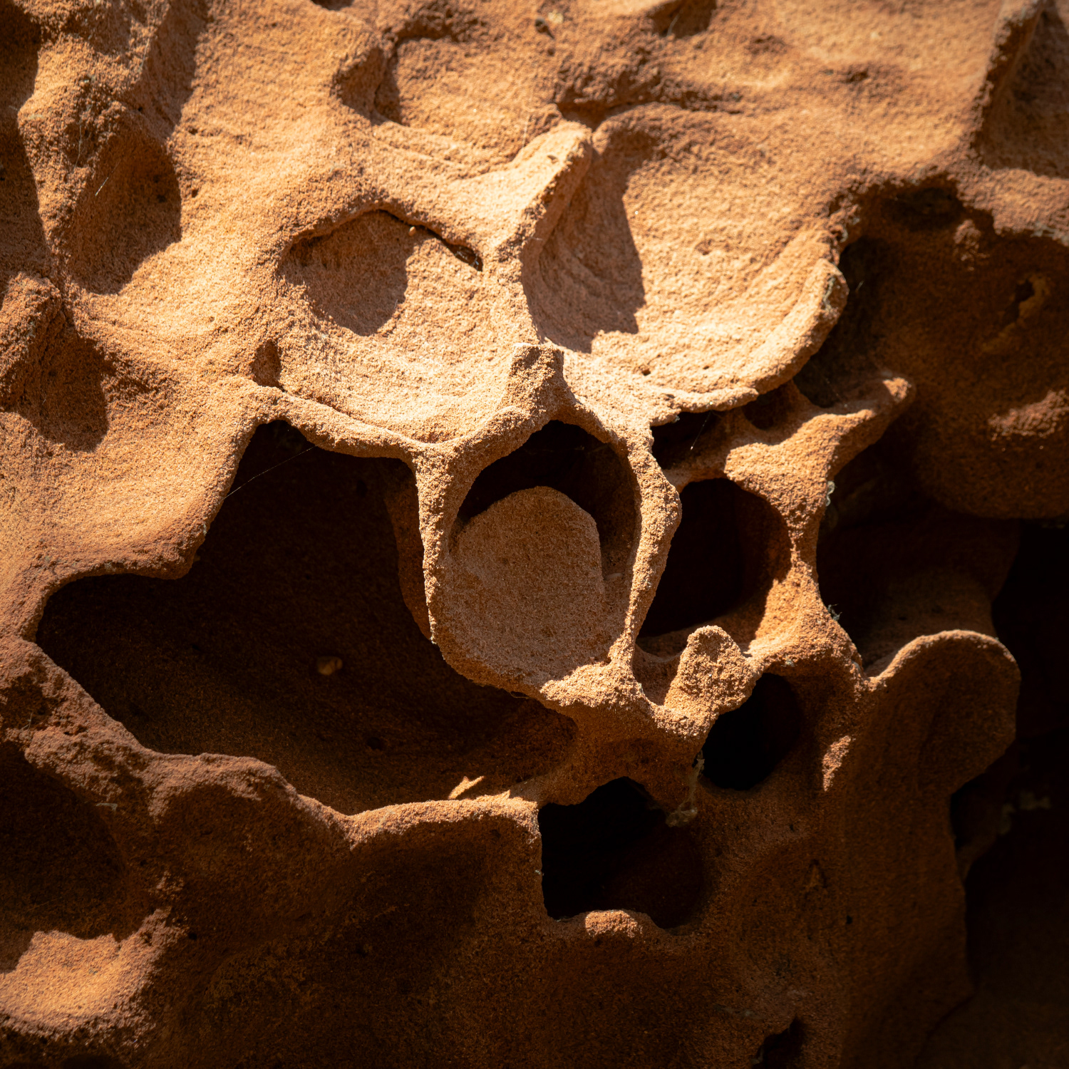 Erosion erschafft Kunstgebilde