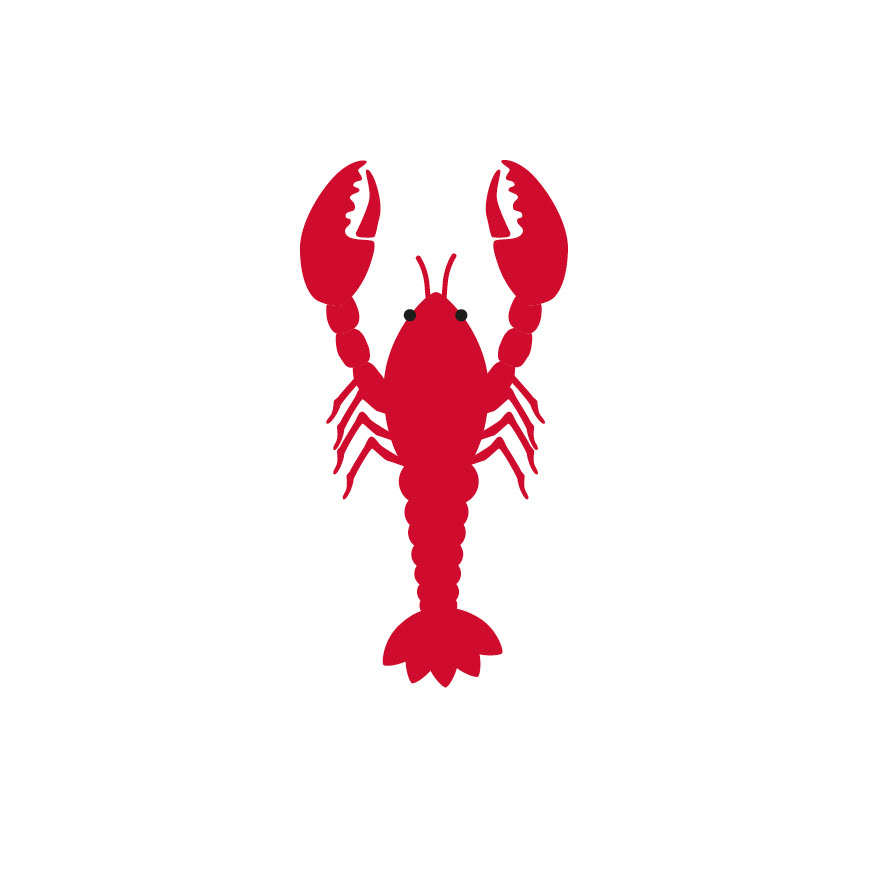 Nathalie Hummer - Illustration