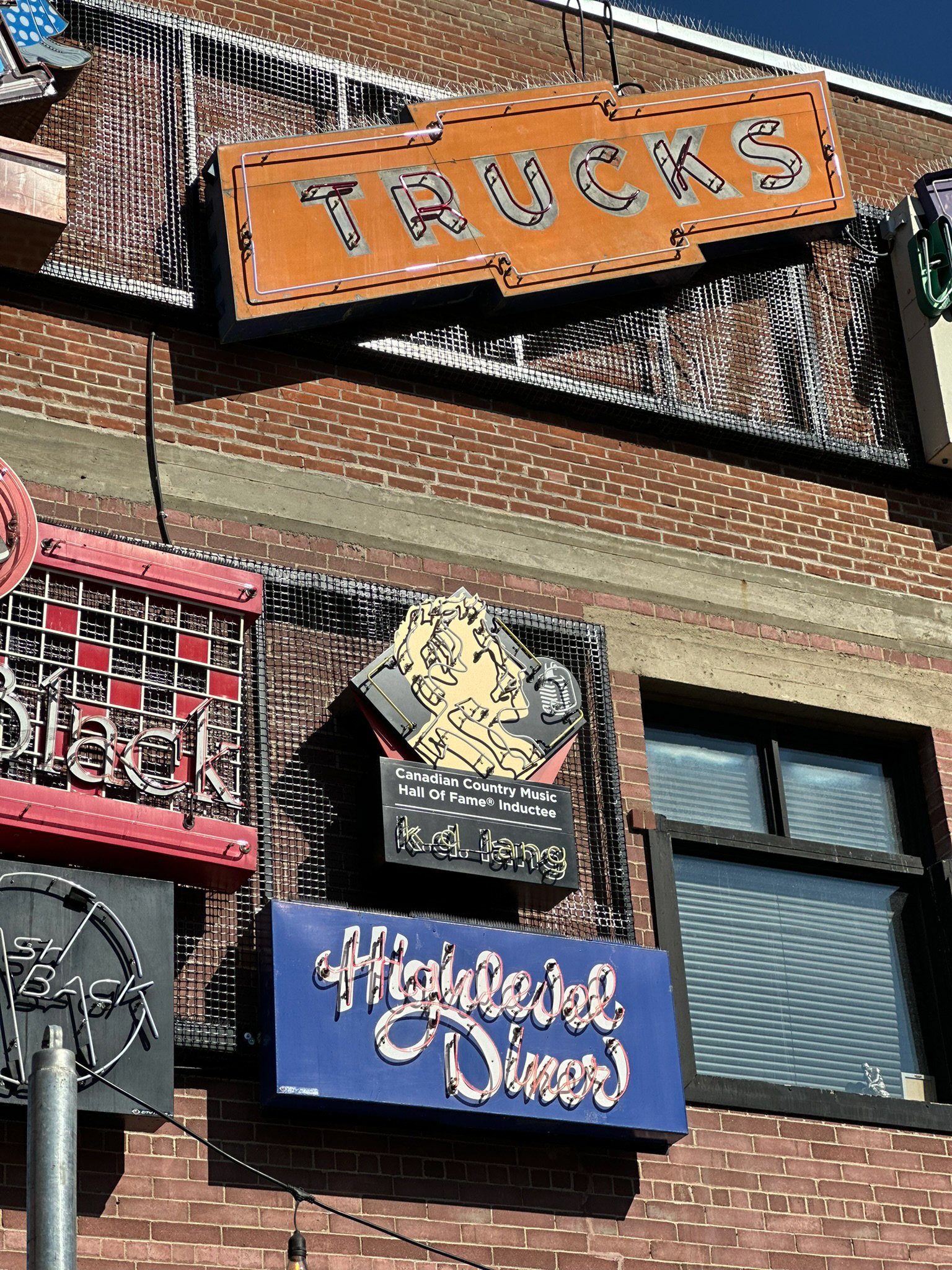 The award winning sign in its new natural habit! I hope you enjoy.