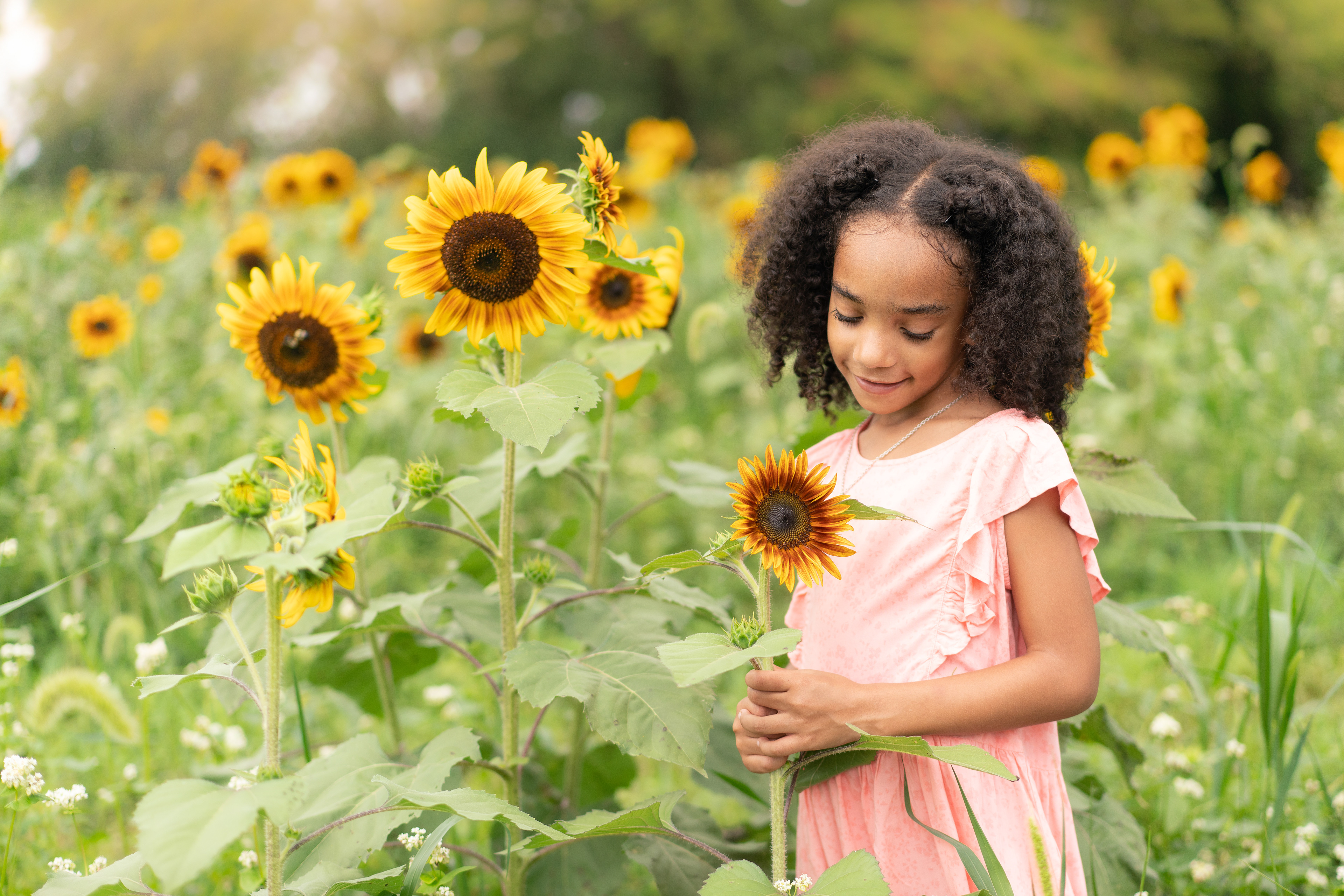 Portrait of Girl in Sunflower Field