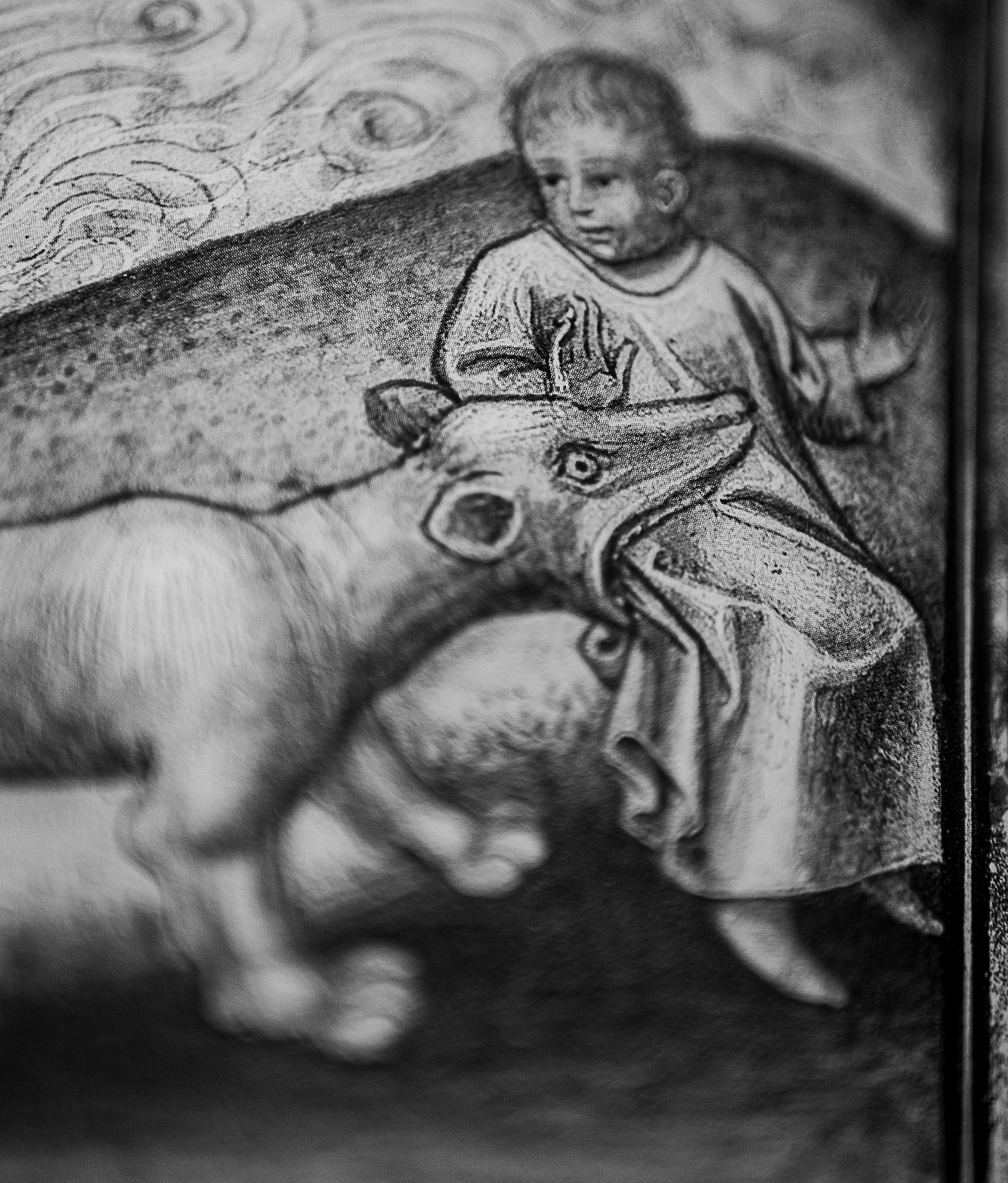 Medieval Beasts