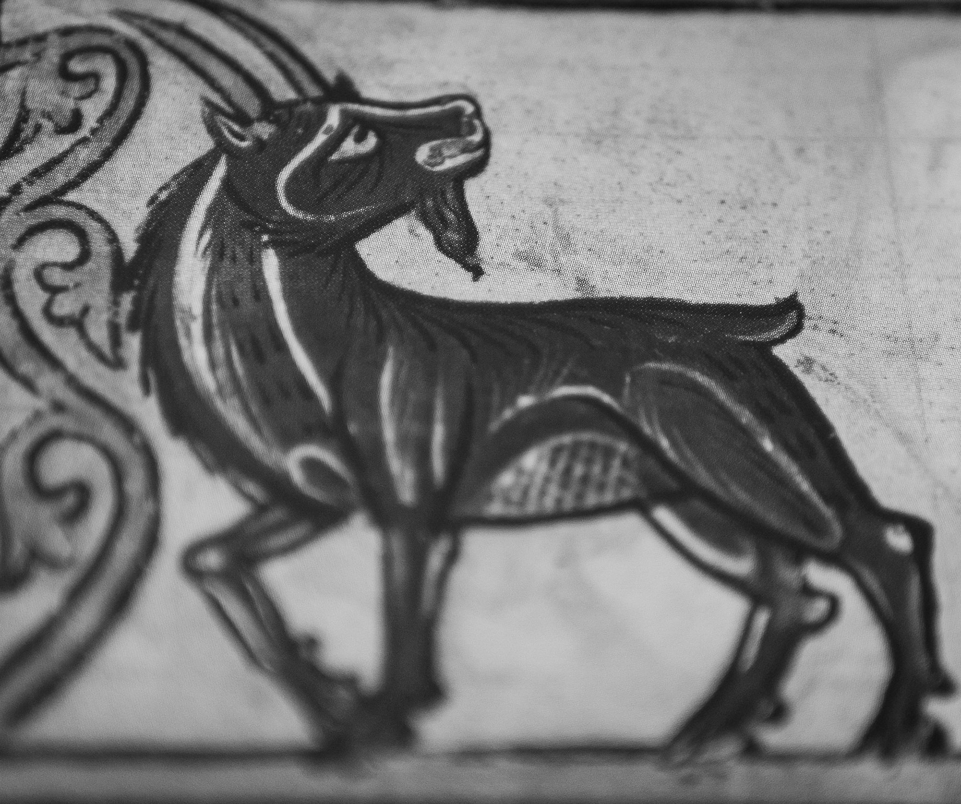 Medieval Beasts