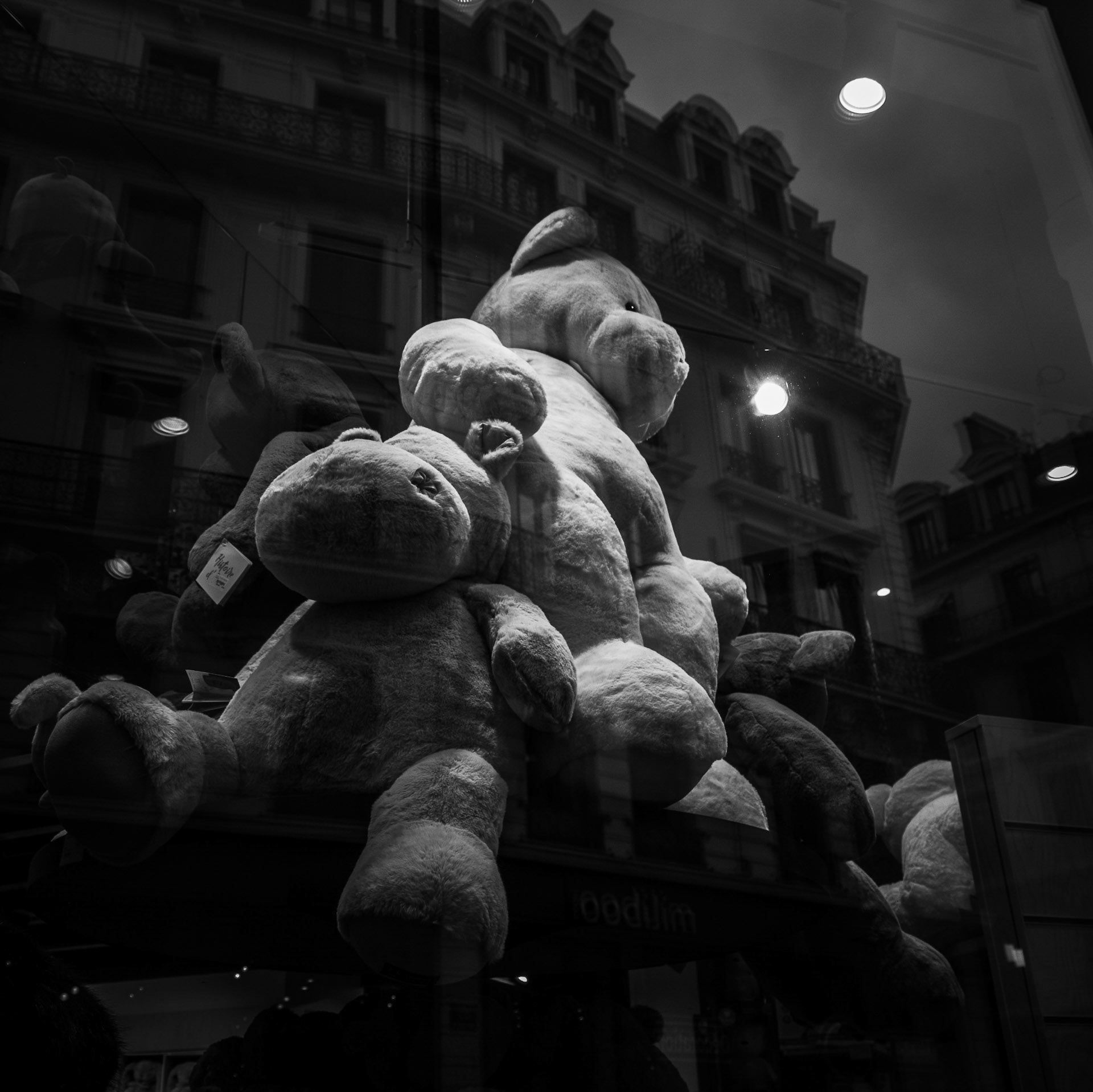 Bears