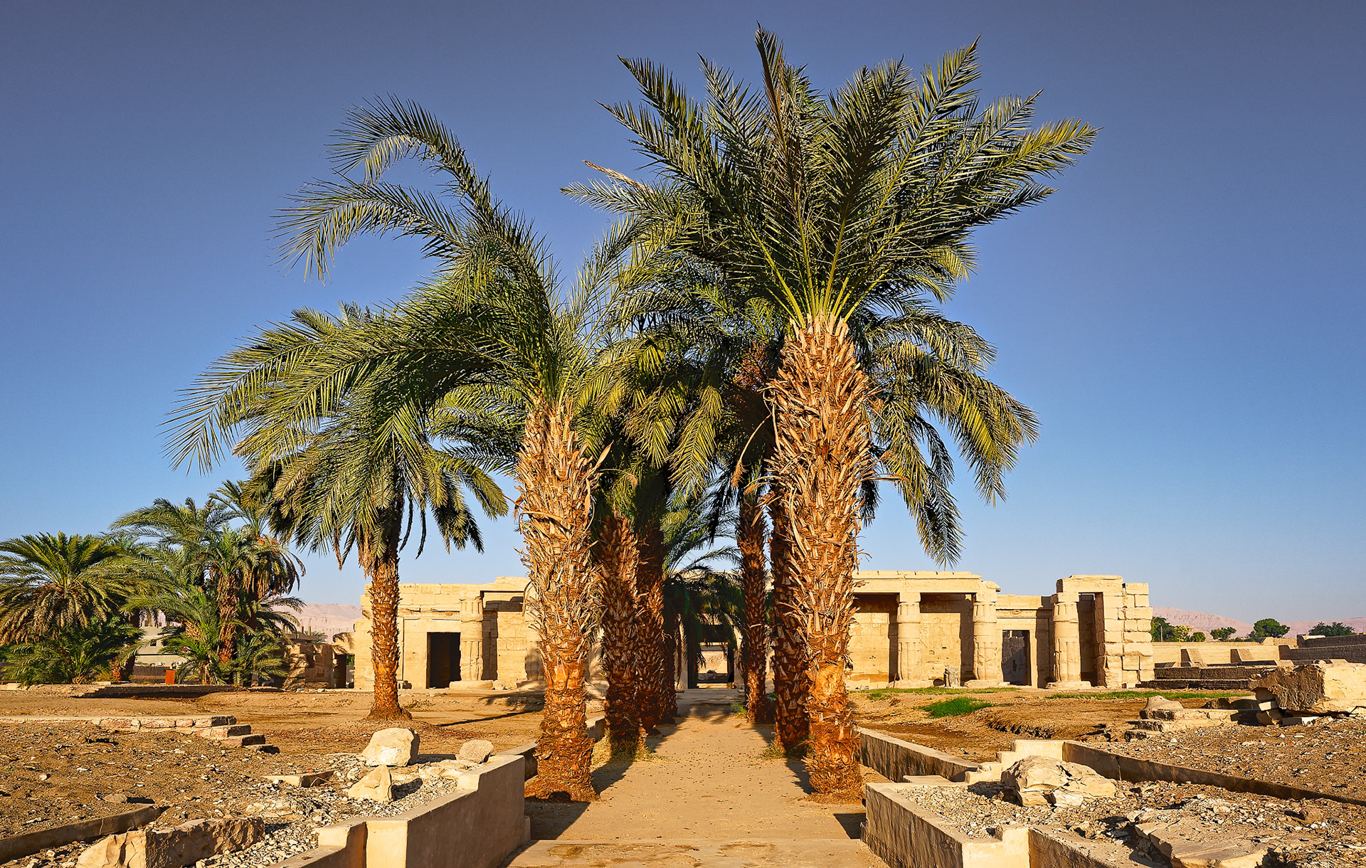 Temple de Séthi I