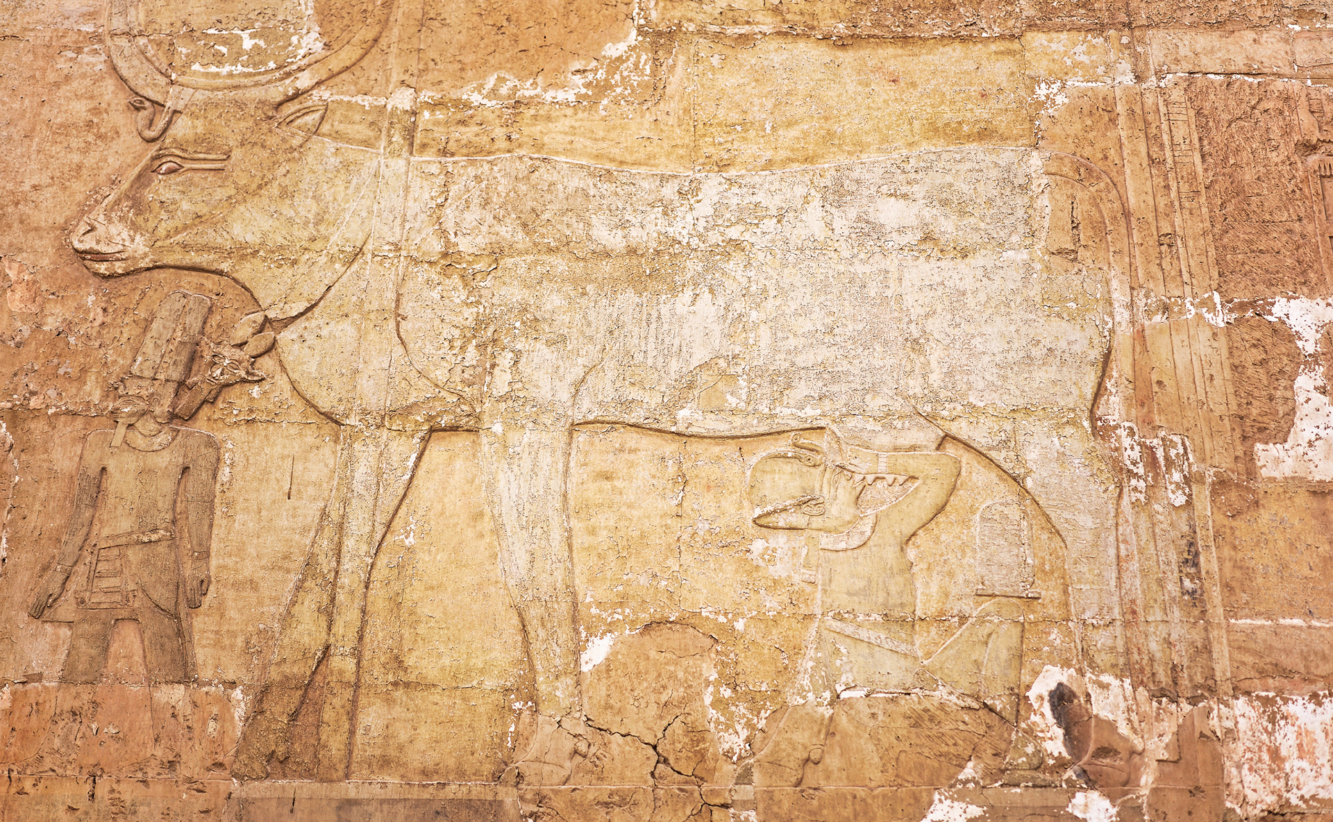 Temple d'Hatshepsut