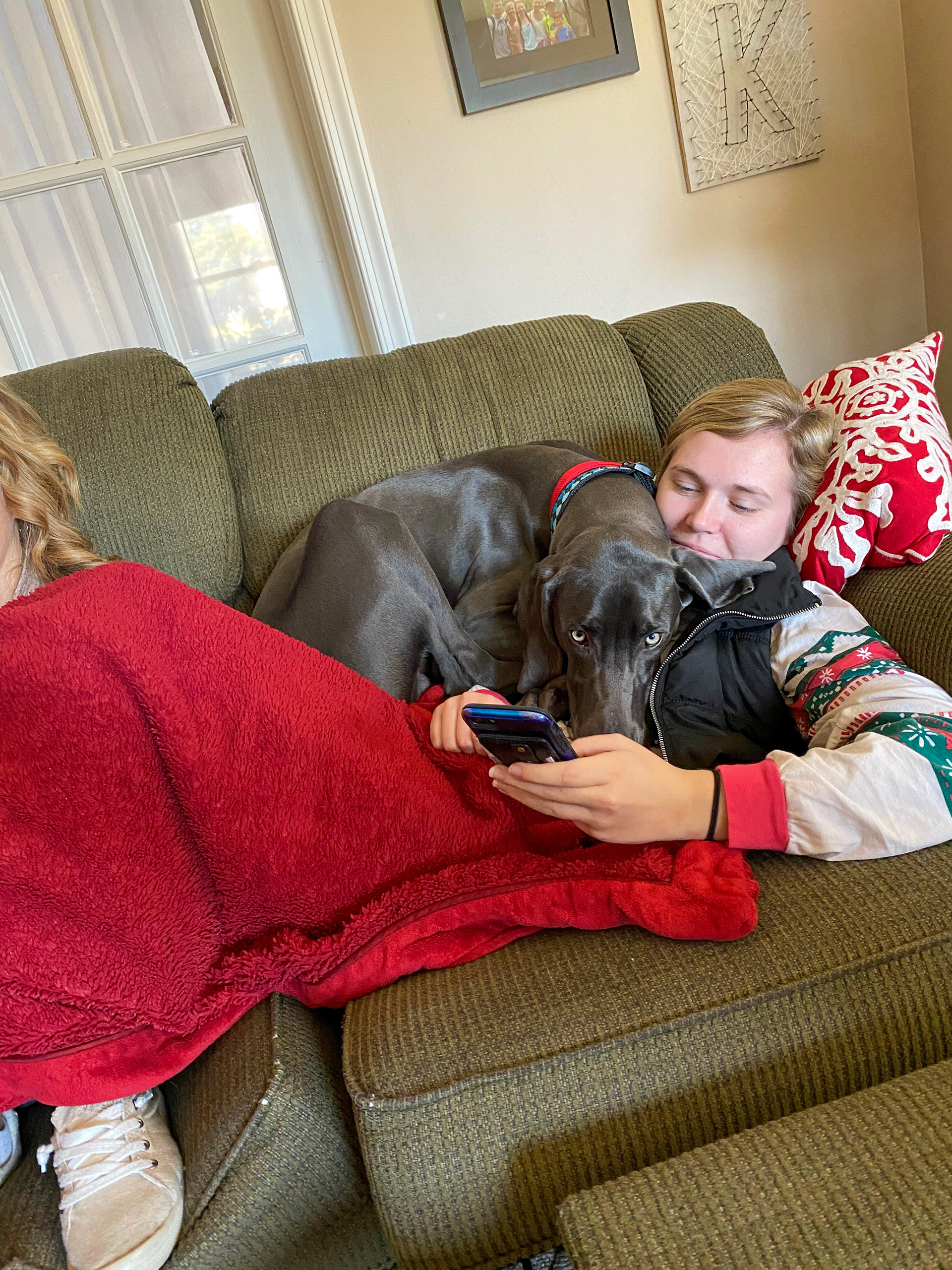 Maggie Kaliszak and dog Guinness lounging on the couch on March 26th, 2020. Maggie Kaliszak | New Freedom, Pennsylvania.